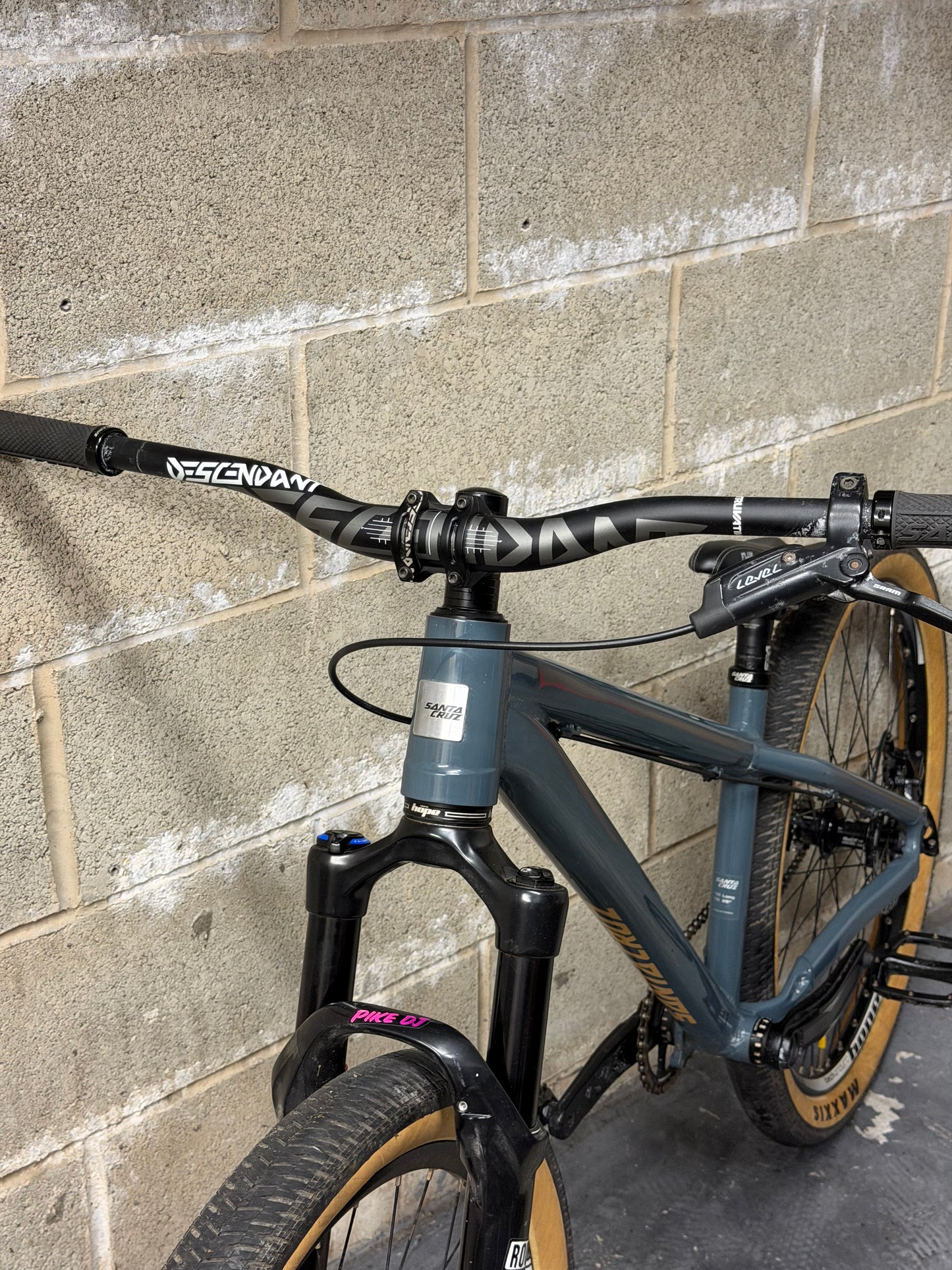 Custom Santa Cruz Jackal Dirt Jump Bike 26”