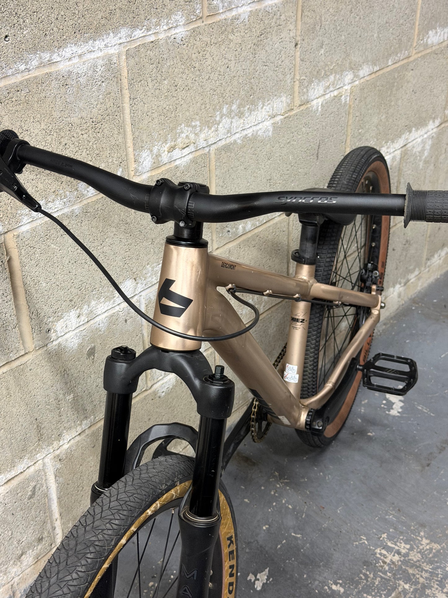 Custom Bergamont Dirt Jump Bike 26”