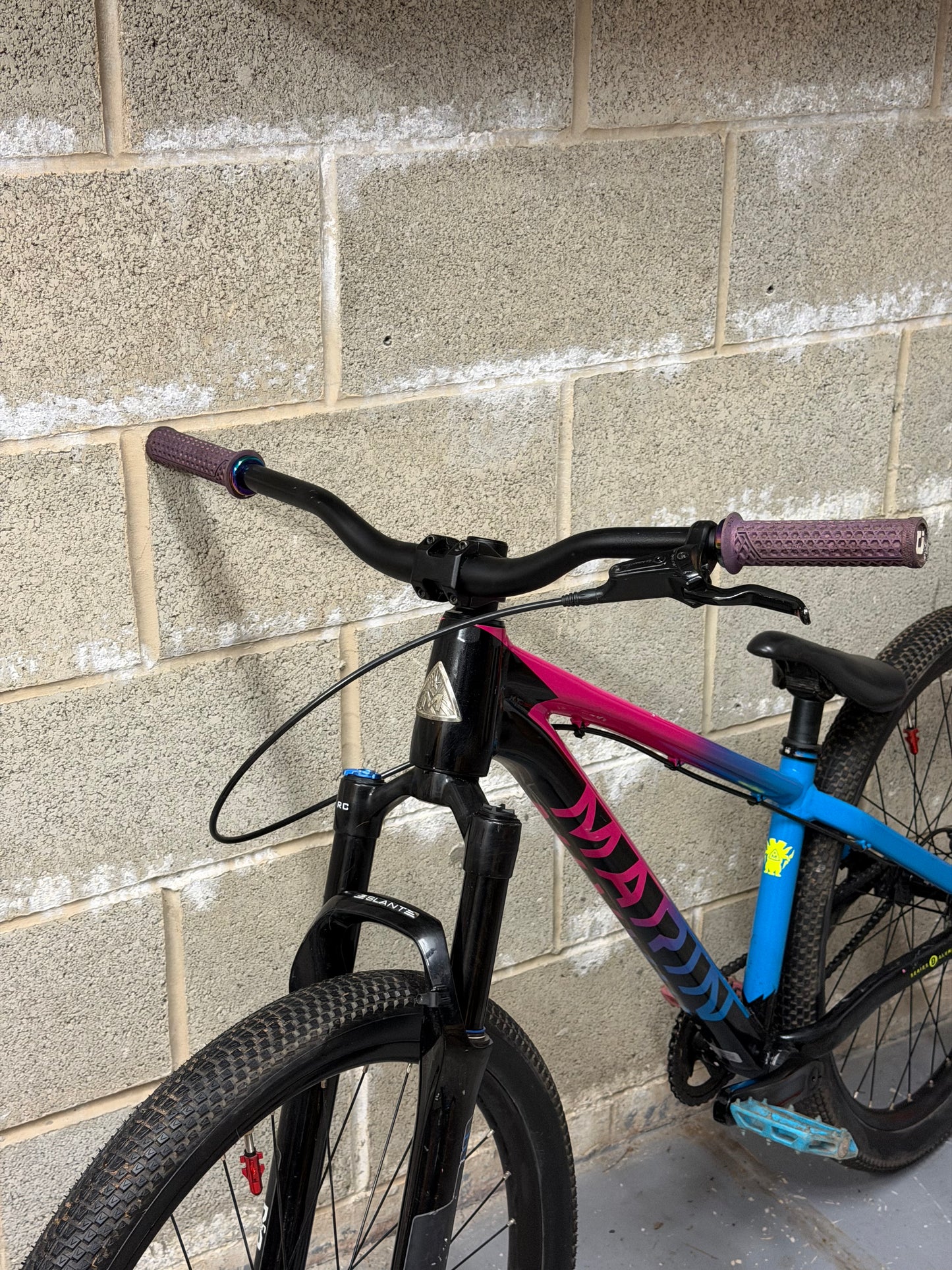 Custom Marin Alcatraz Dirt Jump Bike 26”