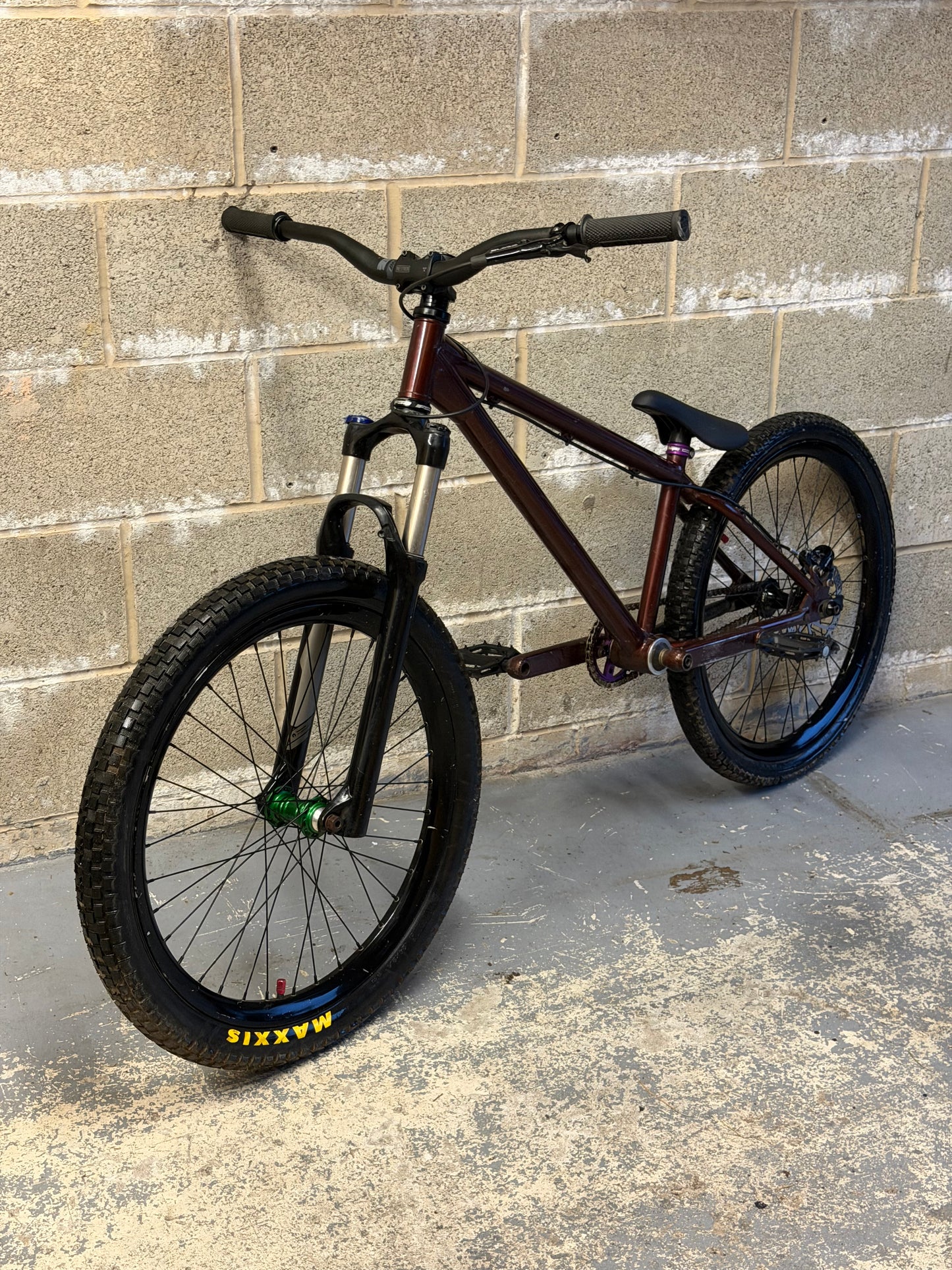 Custom Dirt Jump Bike 24”