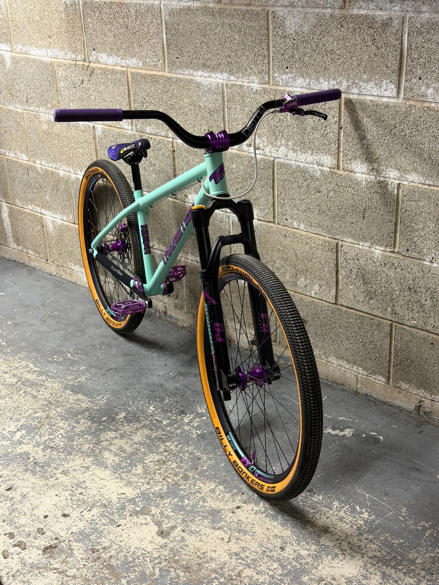 Transition PBJ Custom Dirt Jump Bike 26”