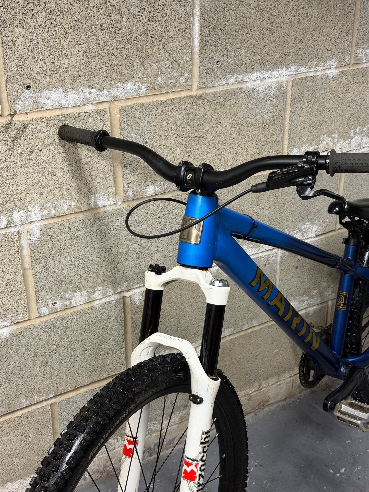 Custom Marin Alcatraz Dirt Jump Bike 26”
