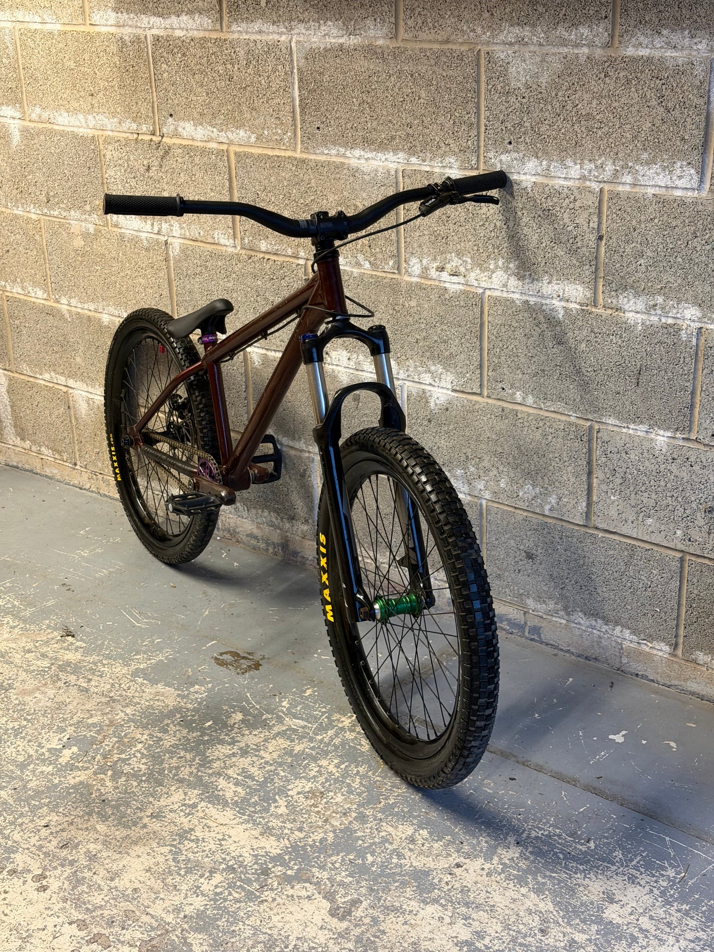 Custom Dirt Jump Bike 24”