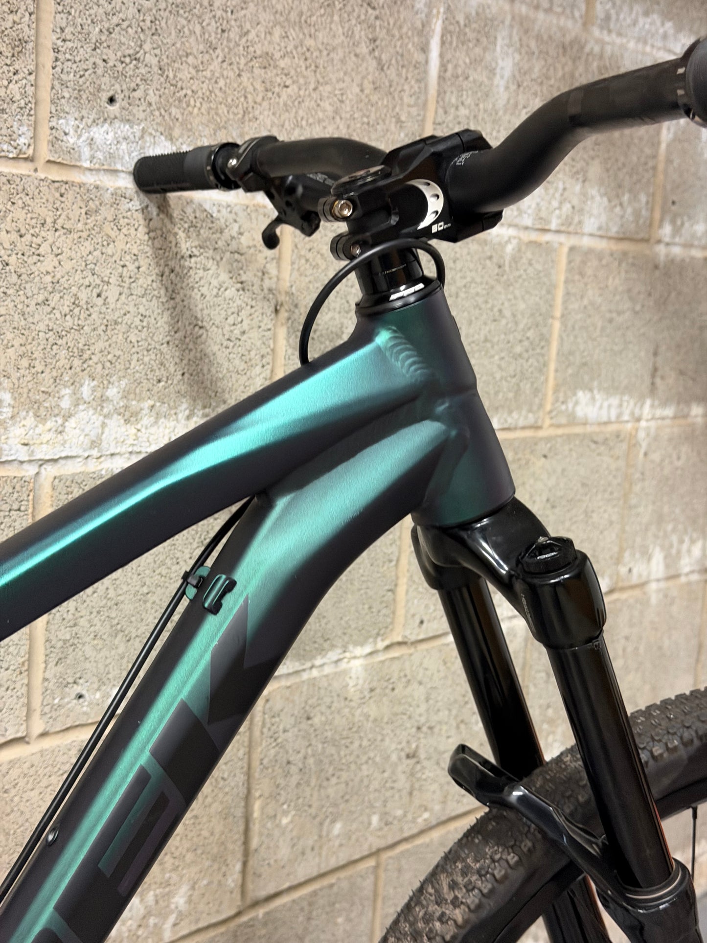 Custom Trek Ticket S Slopestyle Dirt Jump Bike 26”