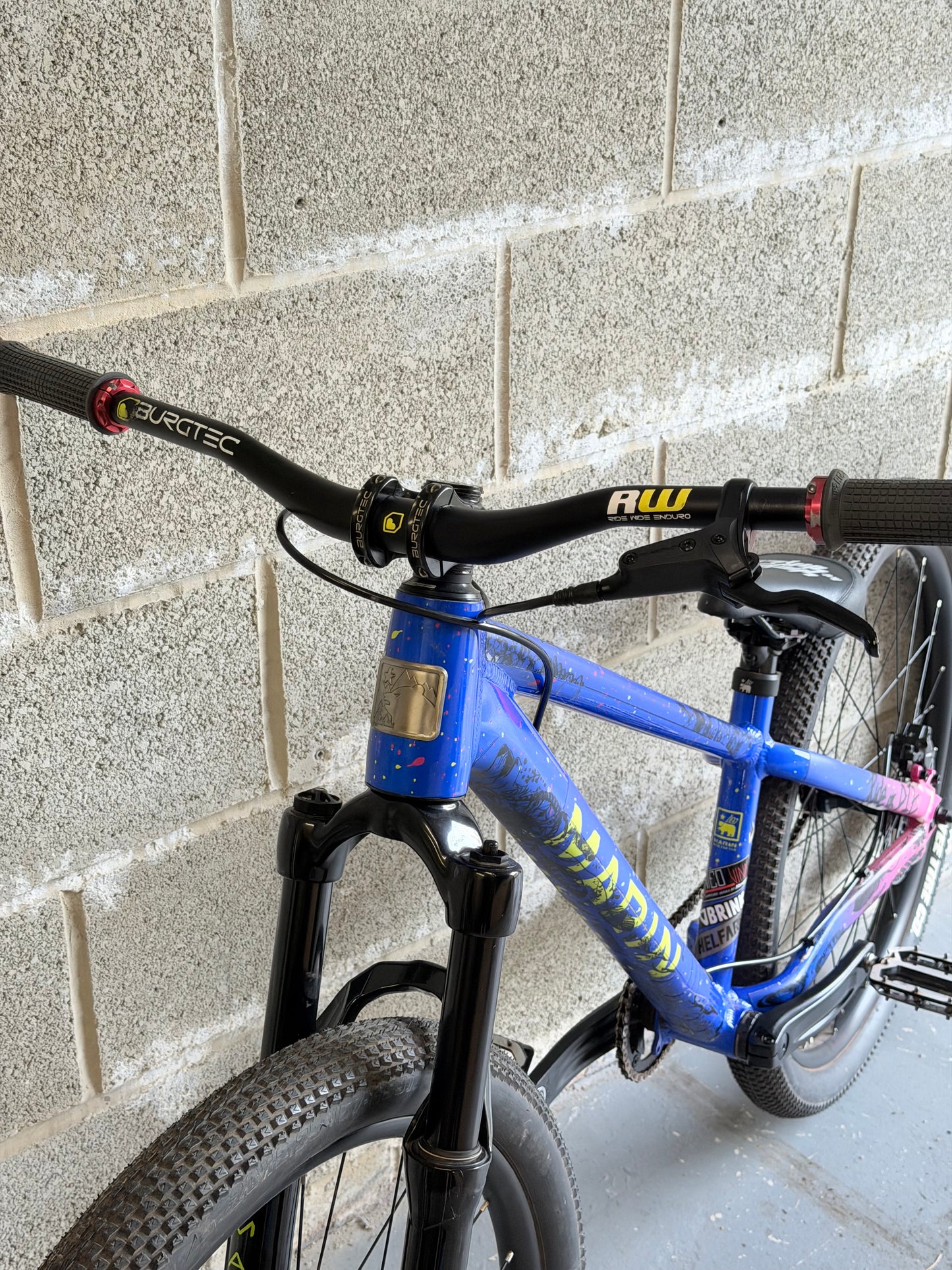 Custom Marin Alcatraz Dirt Jump Bike 26”