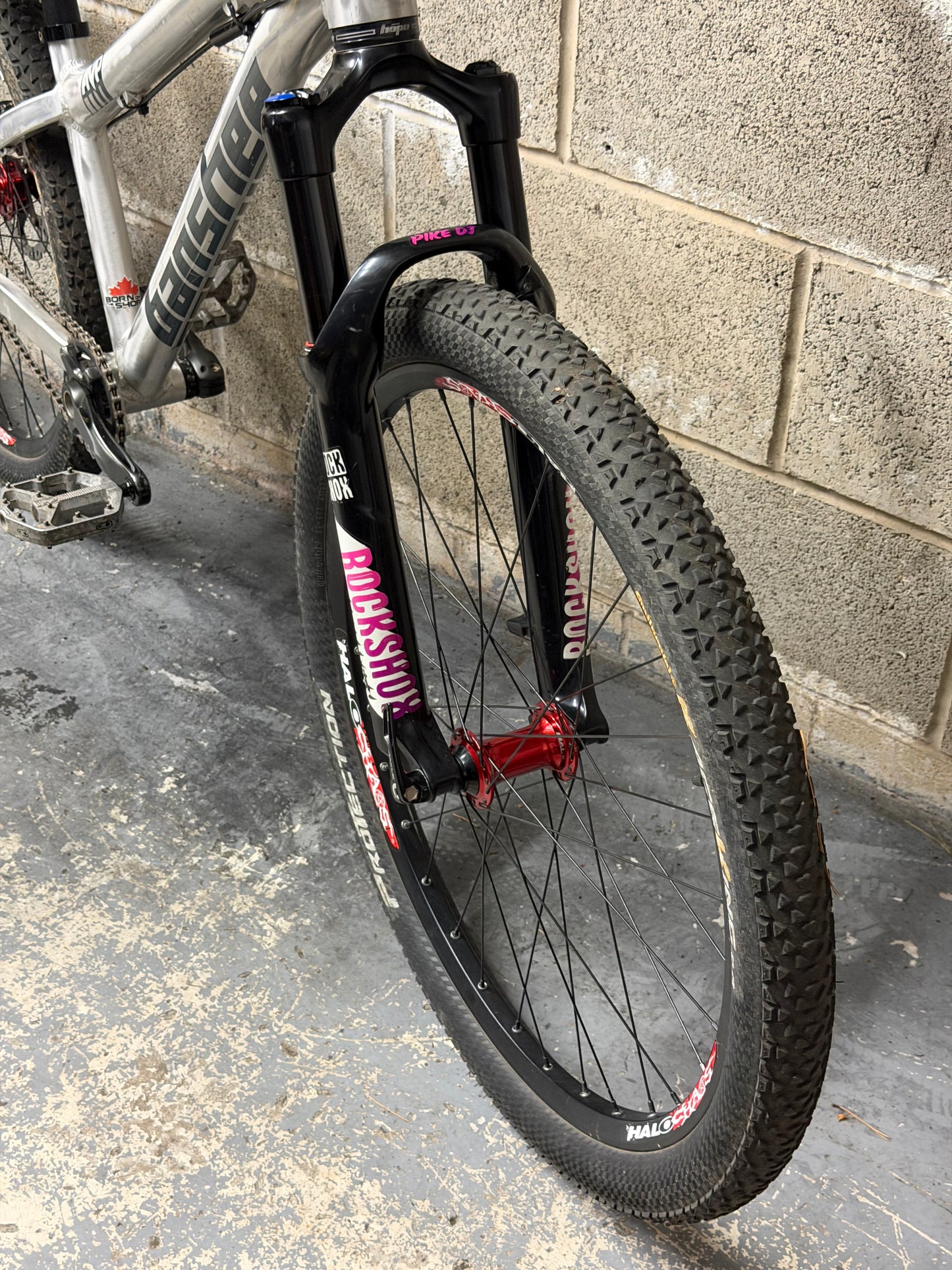 Custom Banshee Amp Dirt Jump Bike 26”