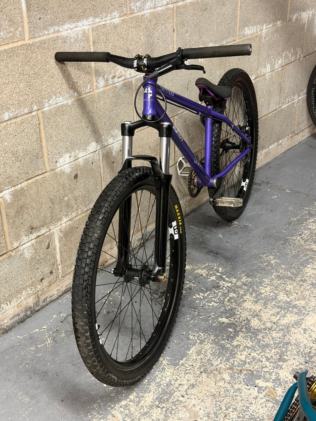 Custom Dartmoor Dirt Jump Bike 26”