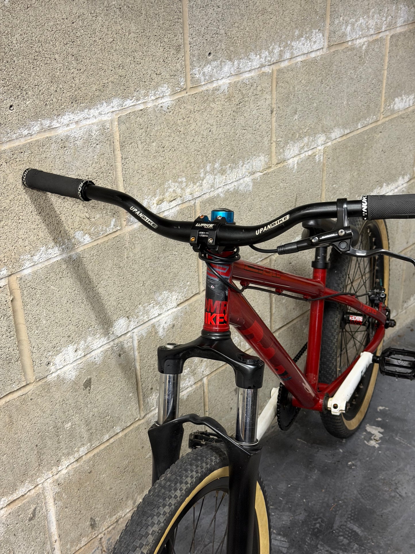 Custom DMR Dirt Jump Bike 24”
