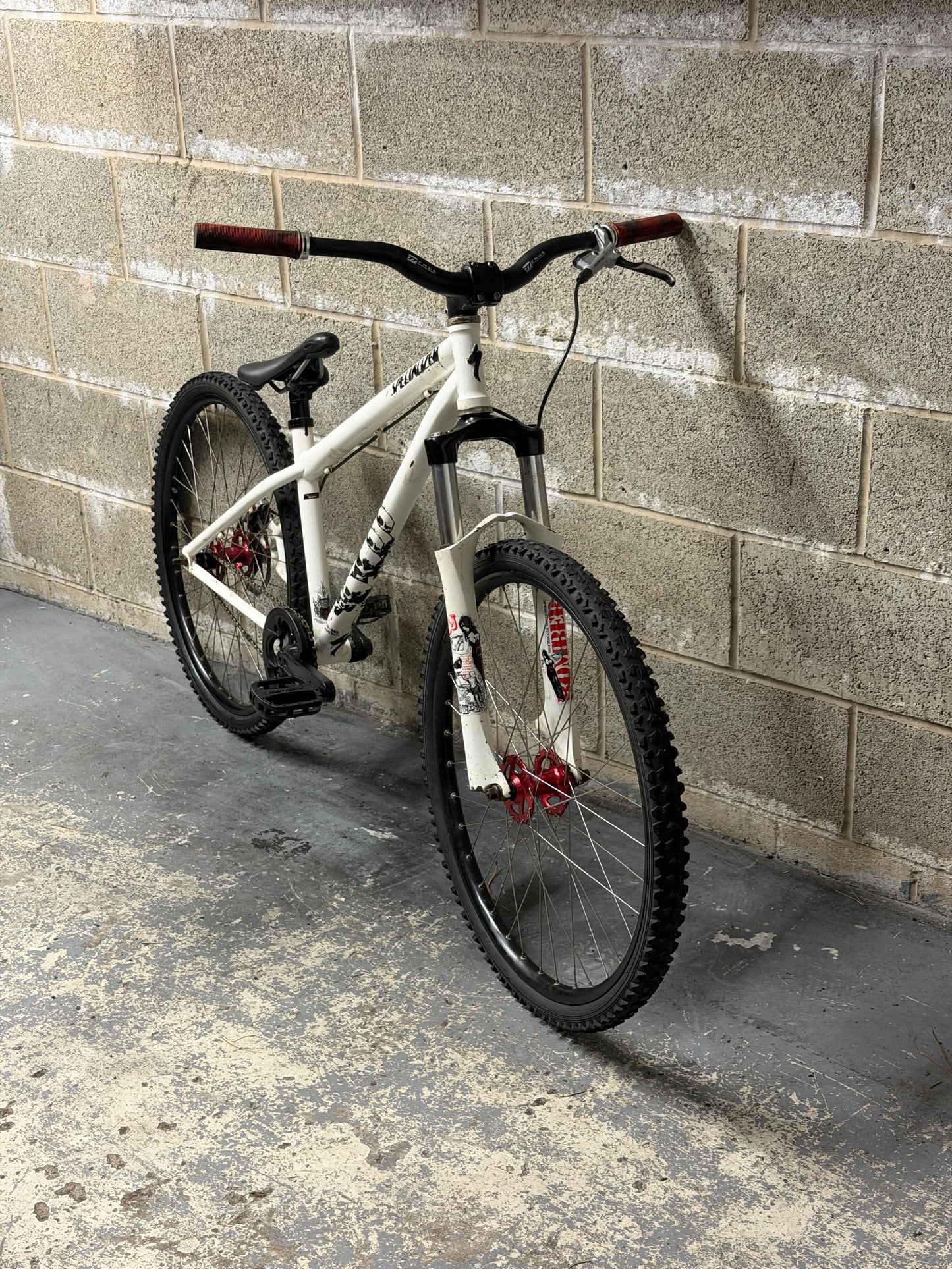 Custom Specialized Dirt Jump Bike 26”
