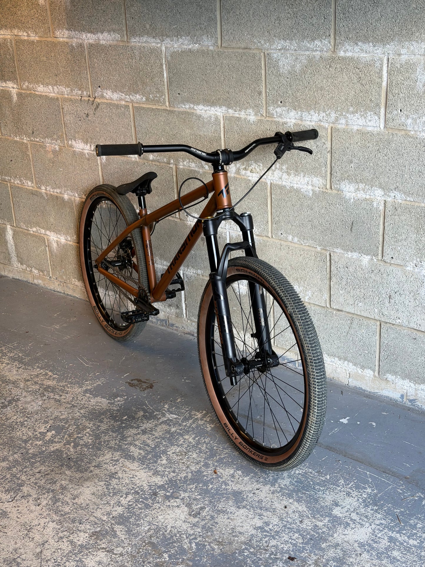 Custom Transition PBJ Dirt Jump Bike 26”