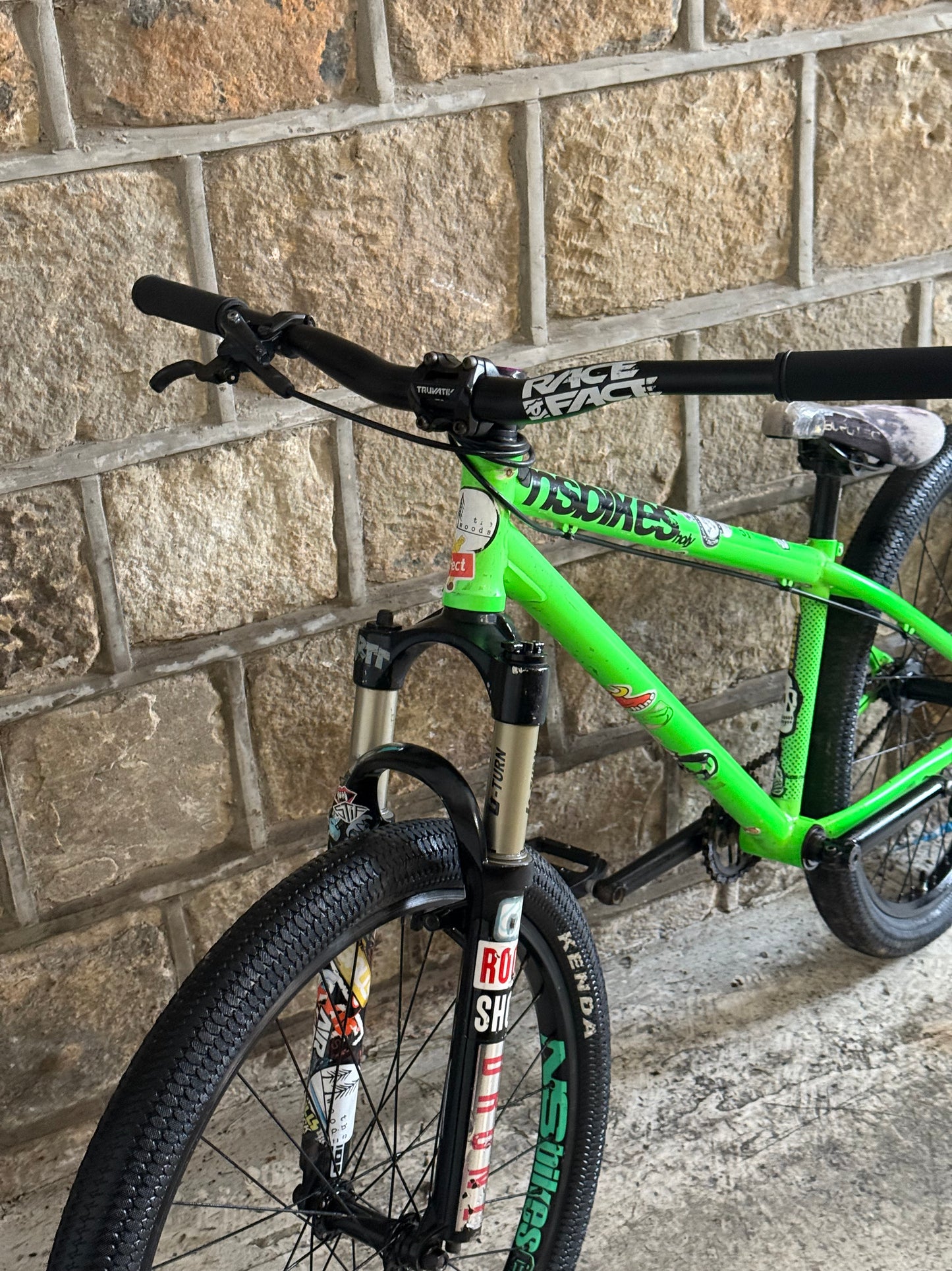 Custom NS Dirt Jump Bike 24”