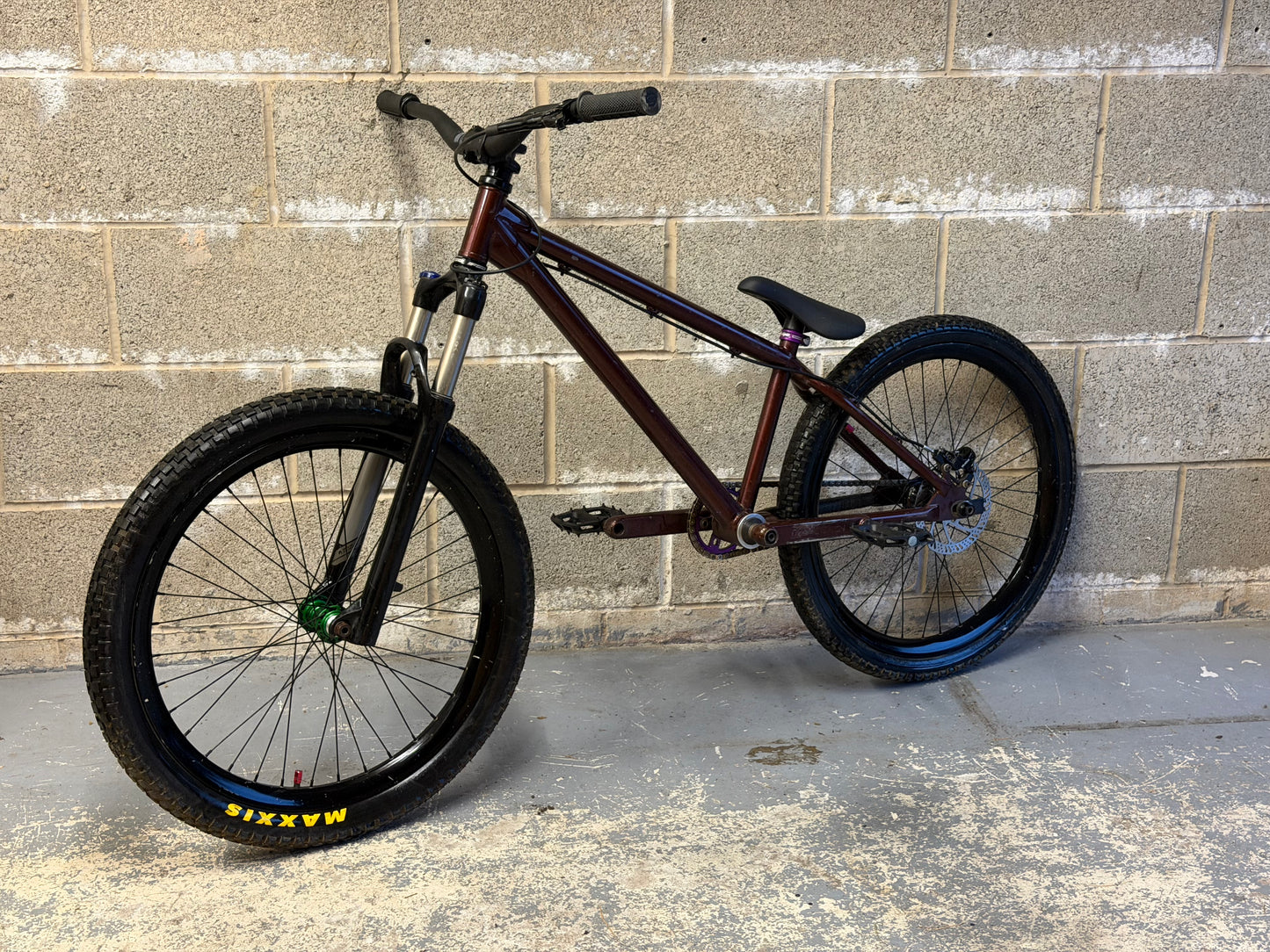 Custom Dirt Jump Bike 24”