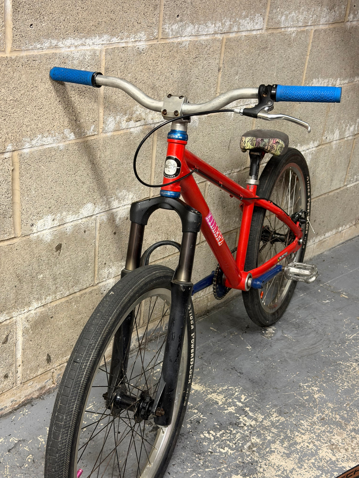 Custom DMR Dirt Jump Bike 24”