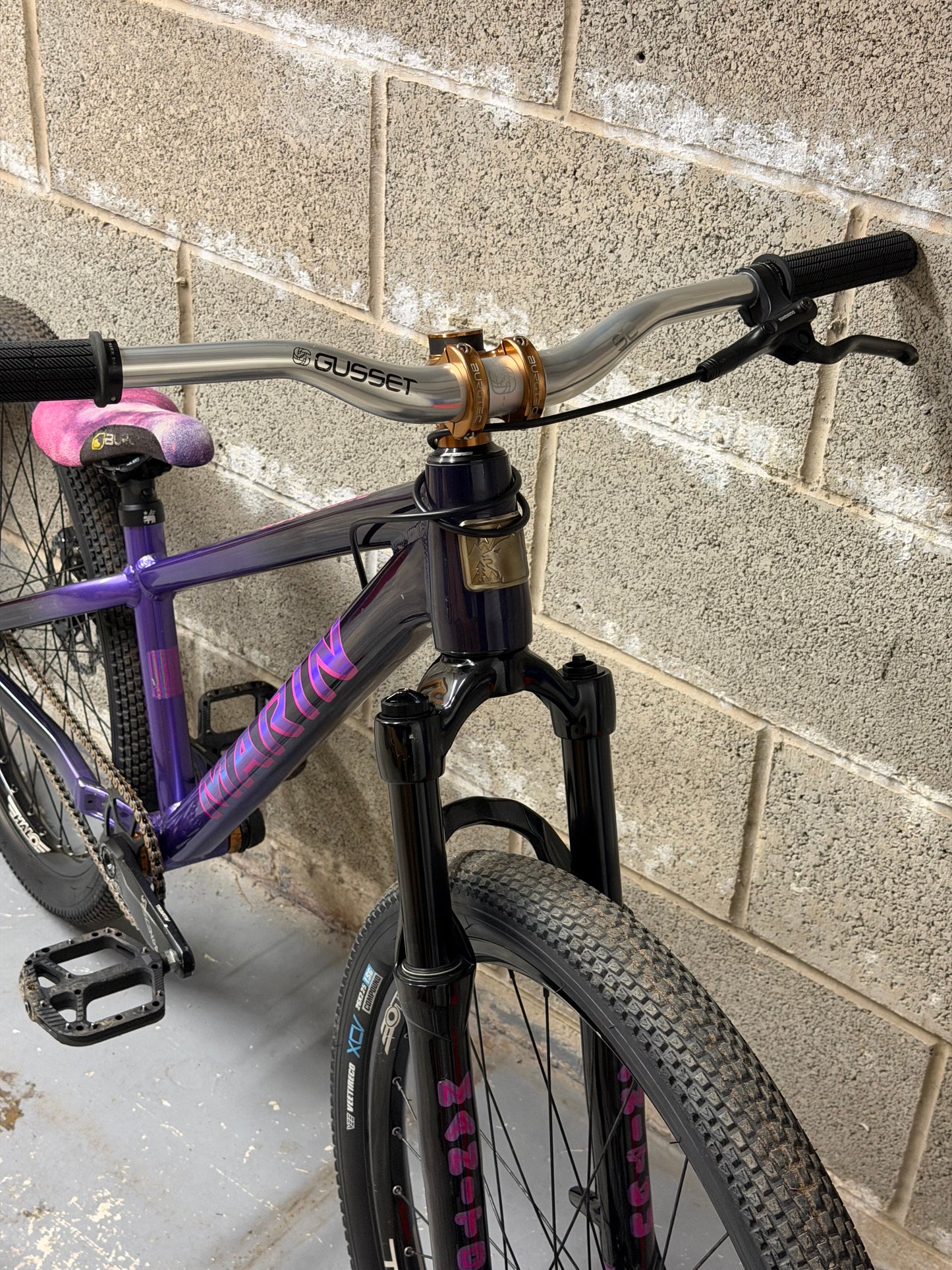 Custom Marin Alcatraz Dirt Jump Bike 26”