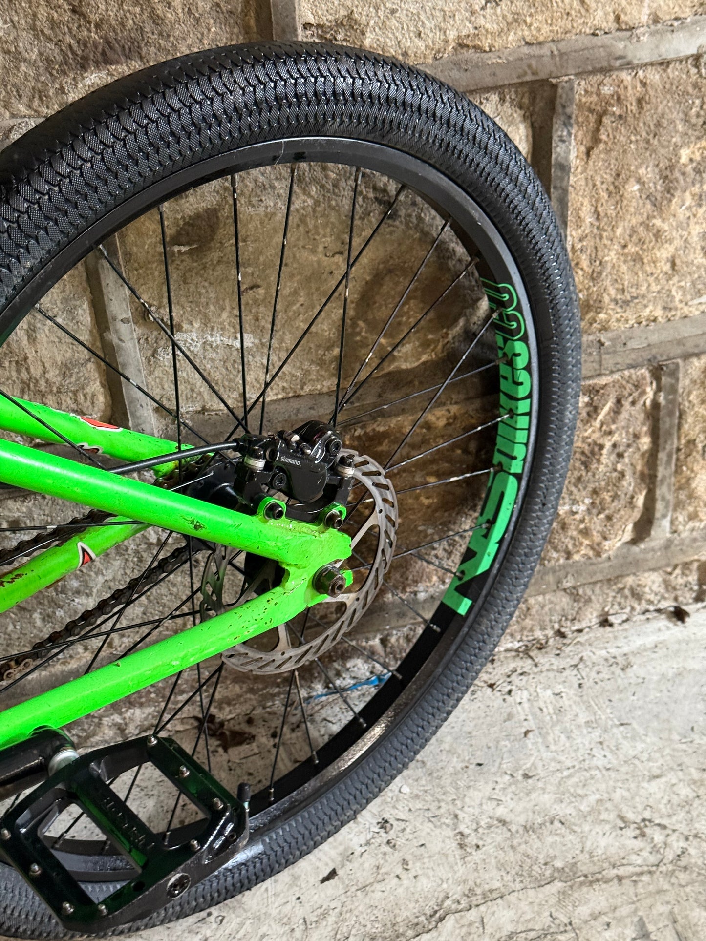 Custom NS Dirt Jump Bike 24”