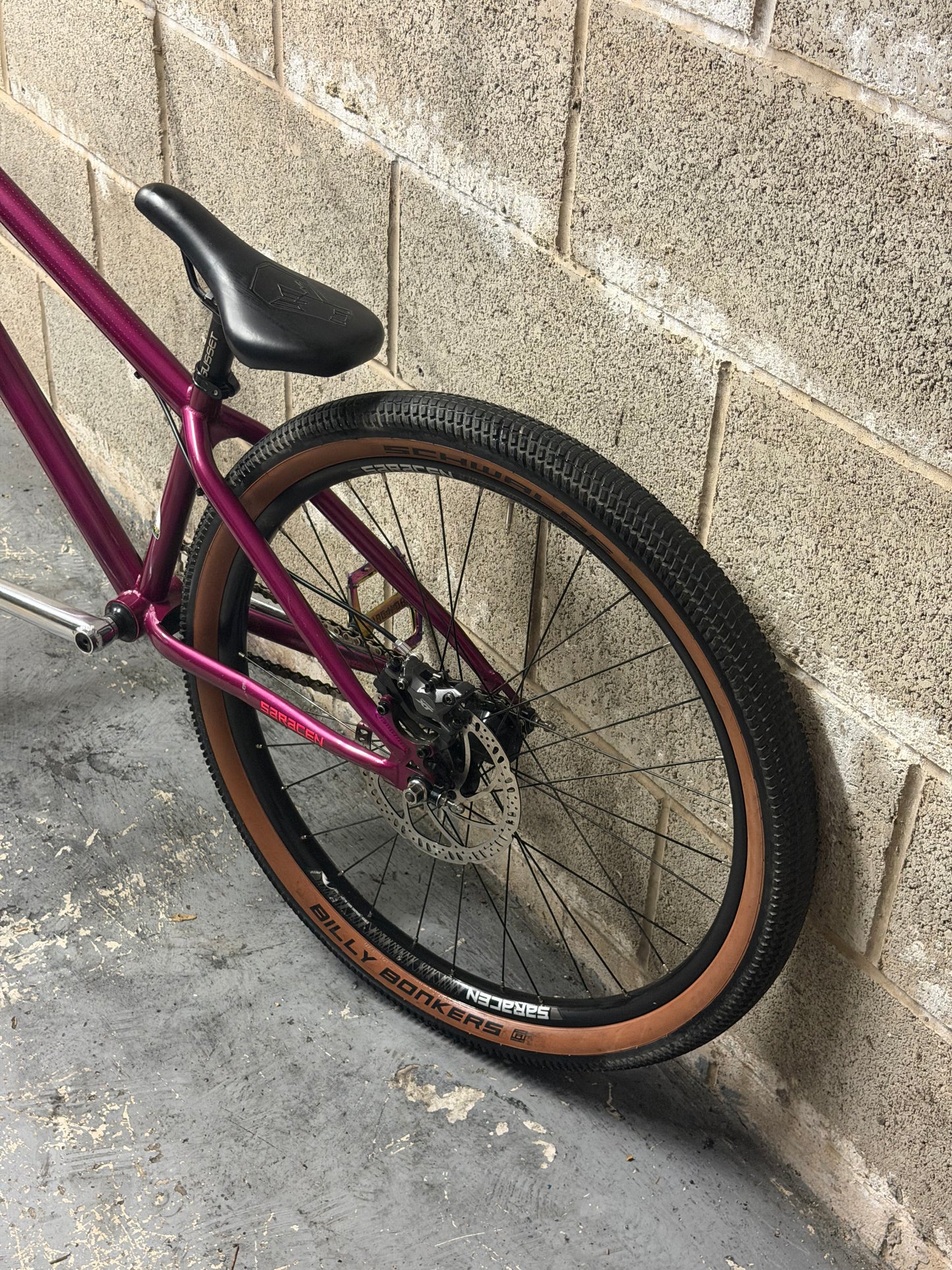 Custom Saracen Dirt Jump Bike 26”