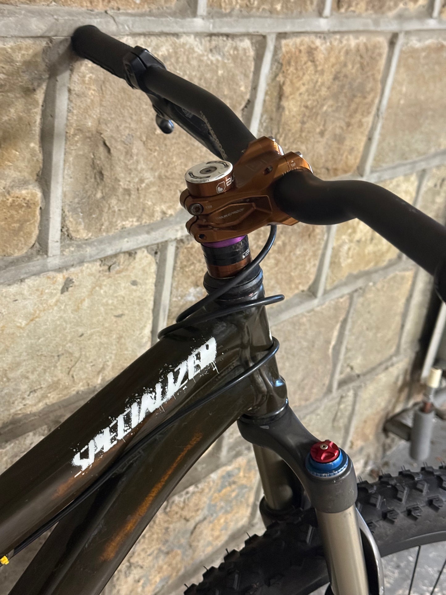 Custom Specialized Dirt Jump Bike 26”