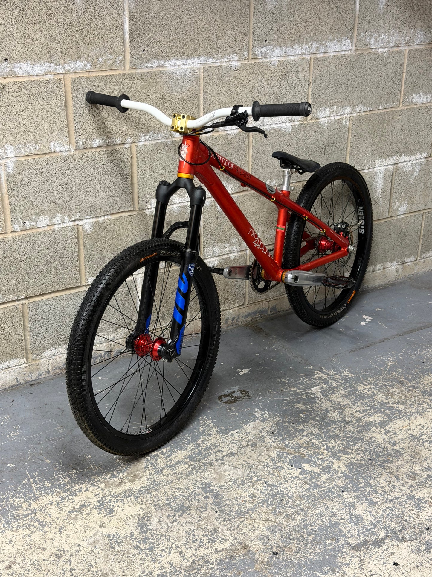Custom Dartmoor Dirt Jump Bike 24”