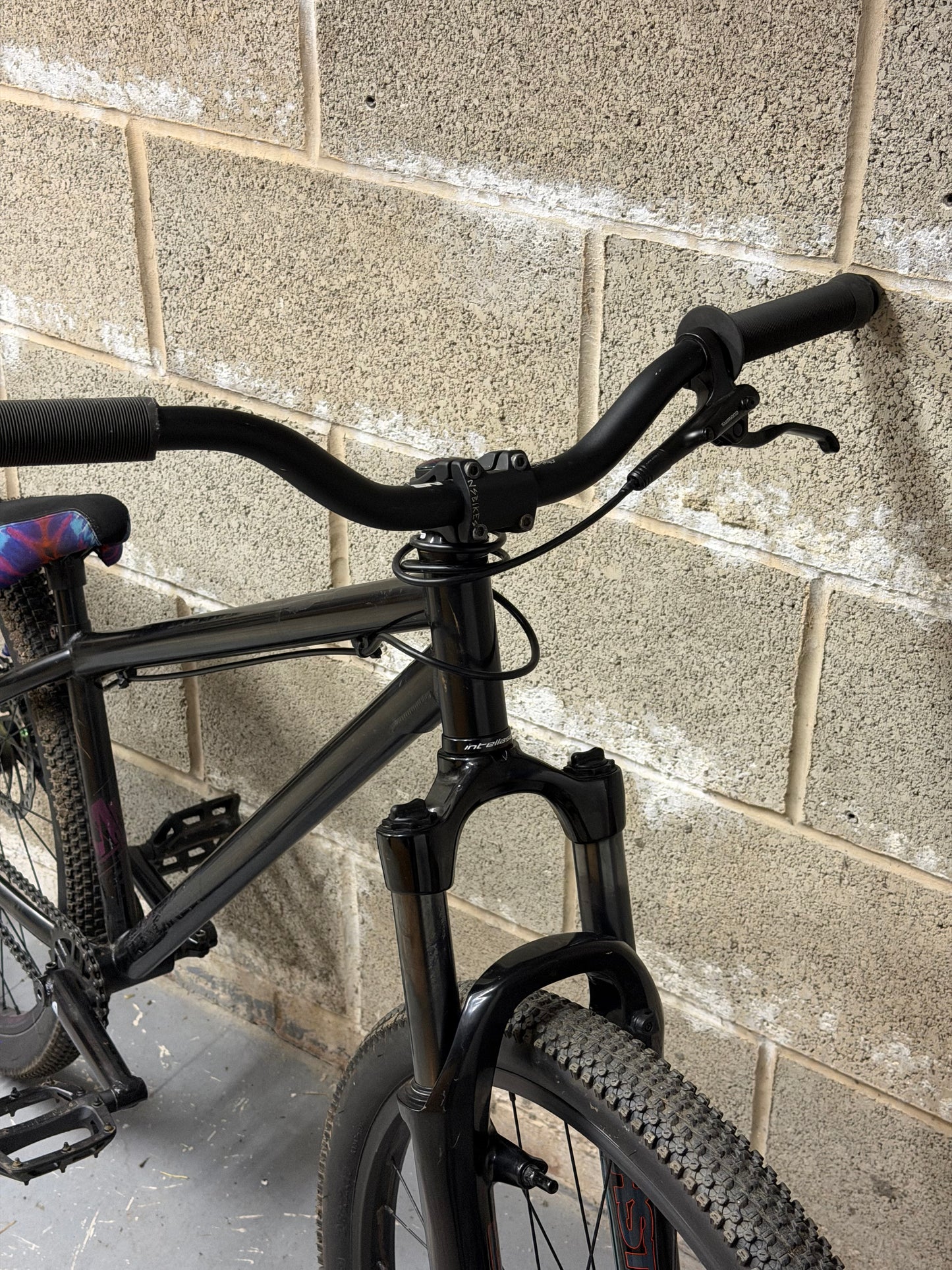 Custom NS Dirt Jump Bike 26”