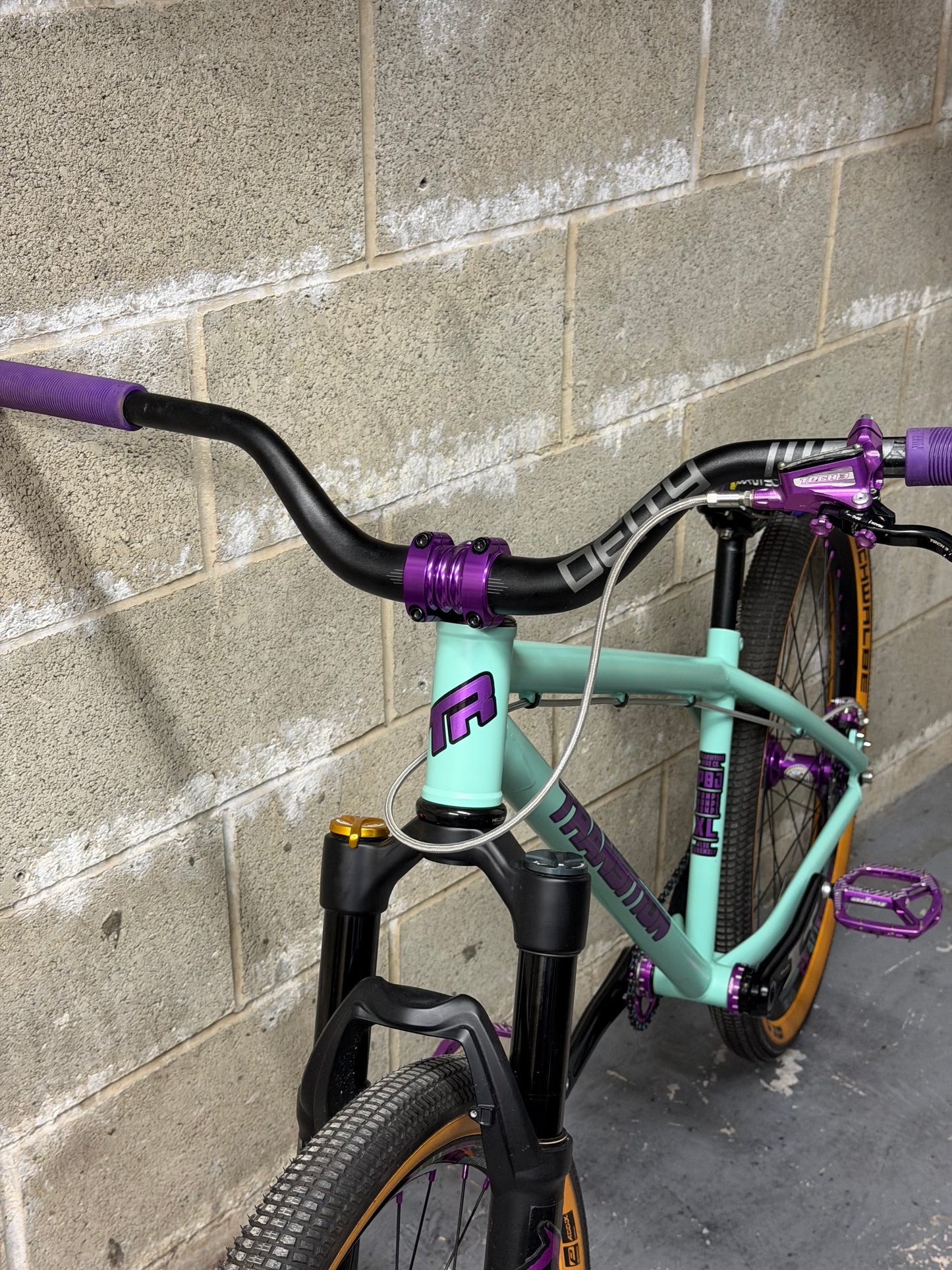 Transition PBJ Custom Dirt Jump Bike 26”