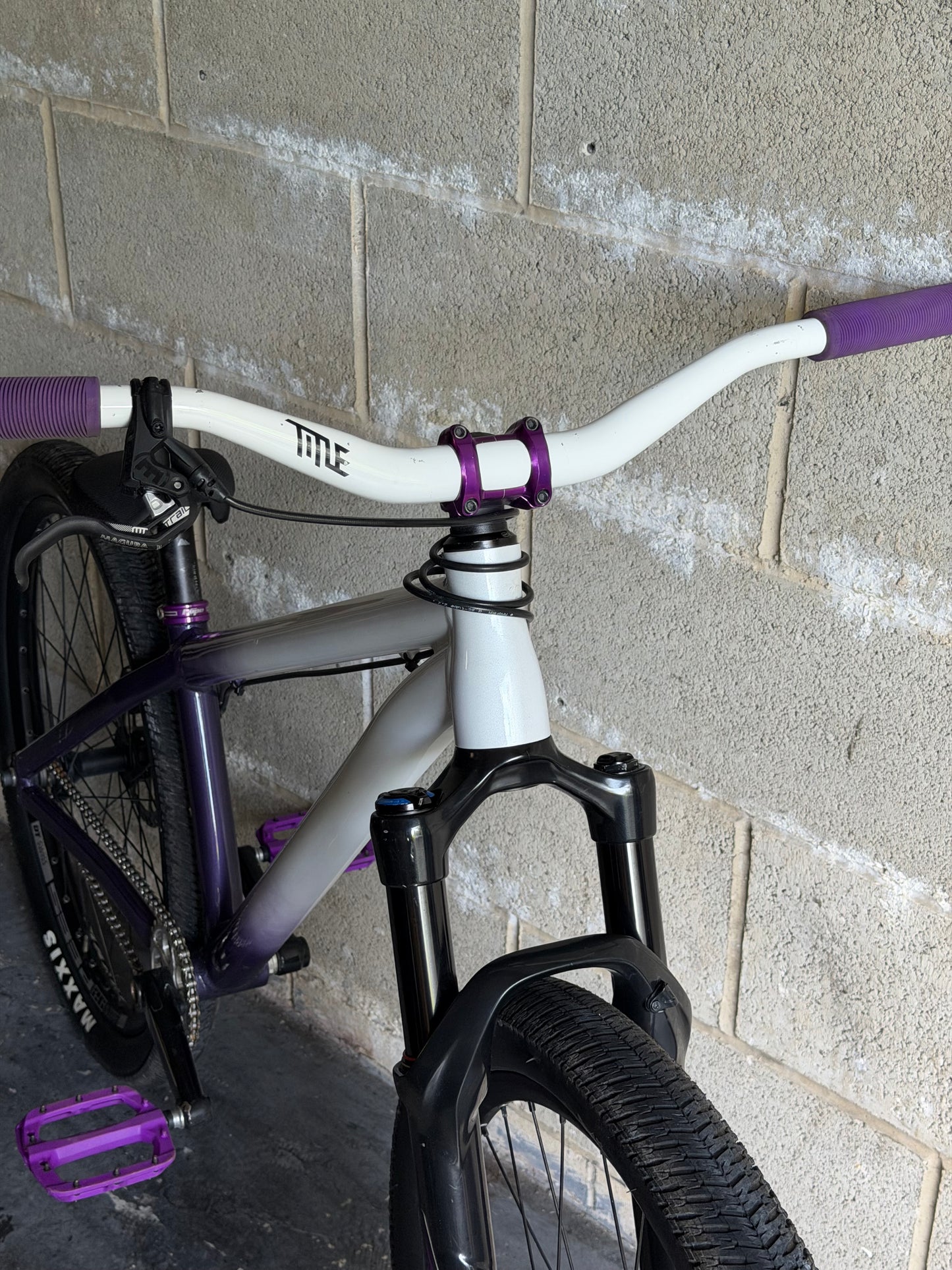 Custom Octane One Dirt Jump Bike 26”