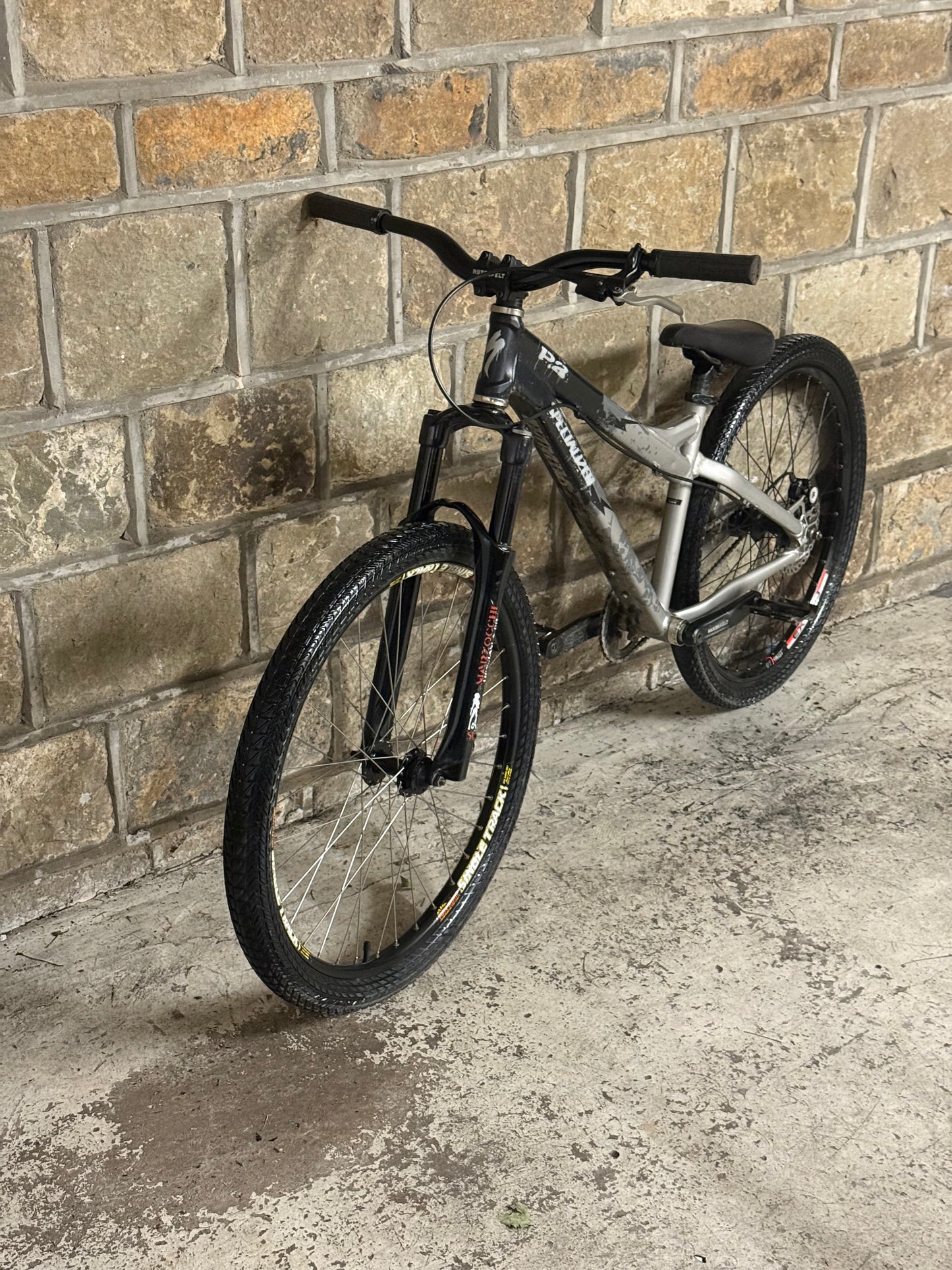Custom Specialized Dirt Jump Bike 26”