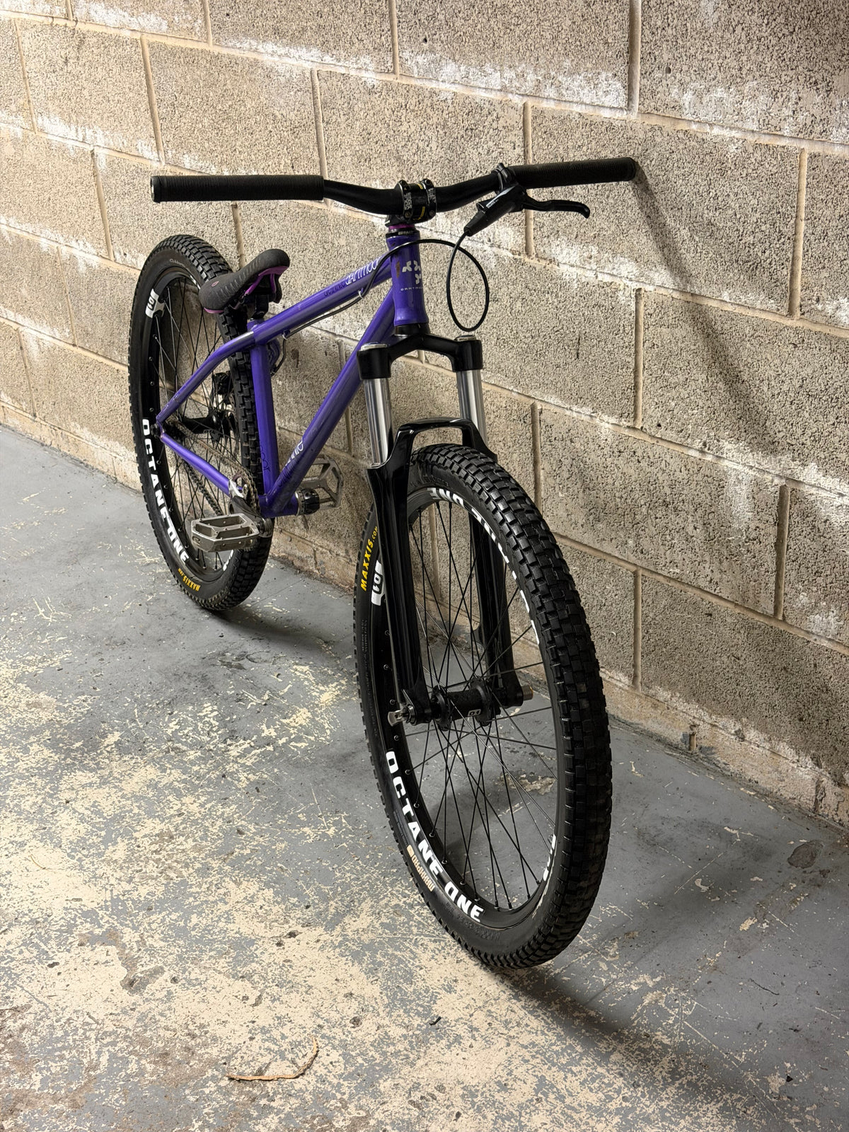 Custom Dartmoor Dirt Jump Bike 26”