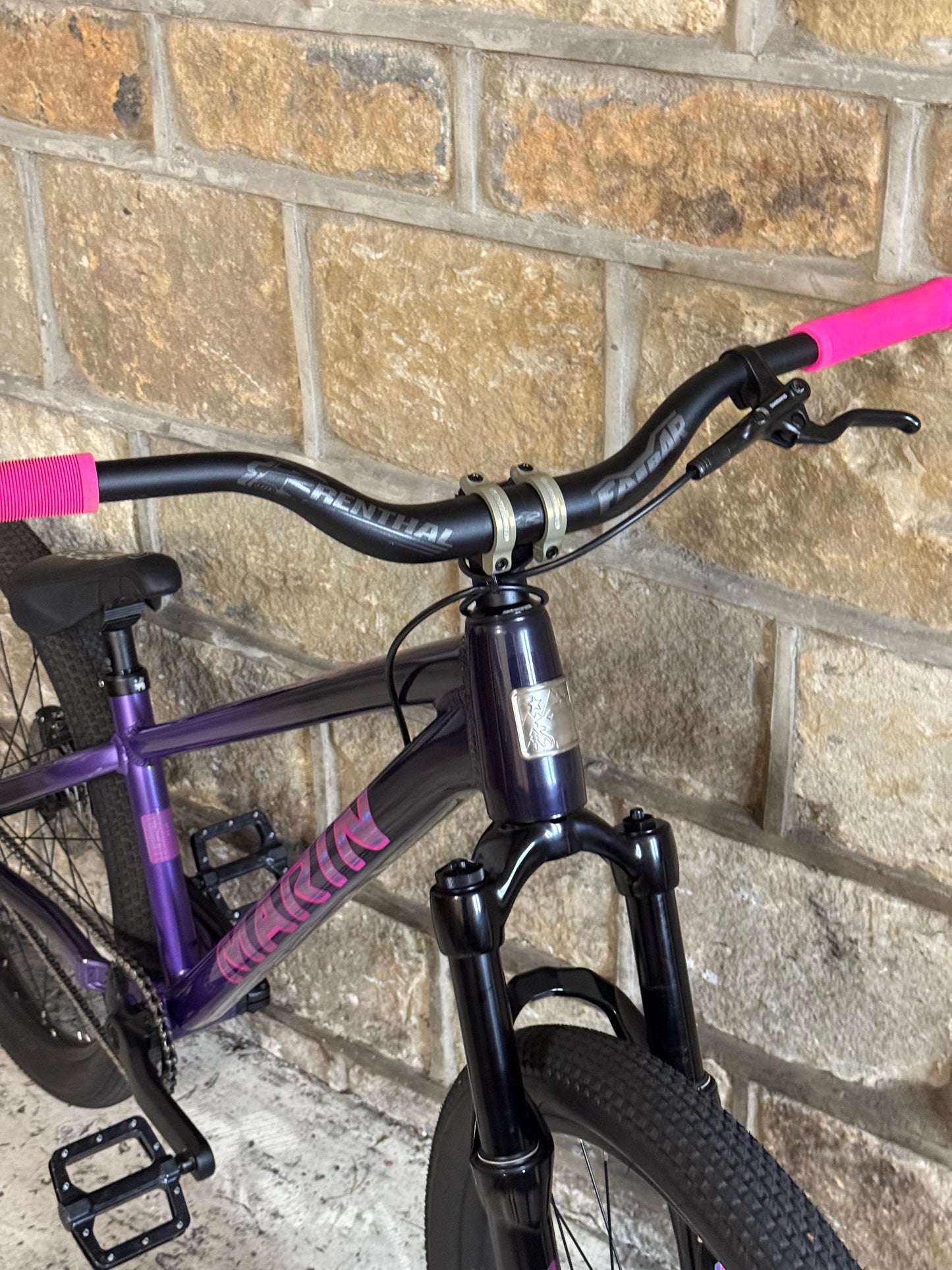 Custom Marin Alcatraz Dirt Jump Bike 26”