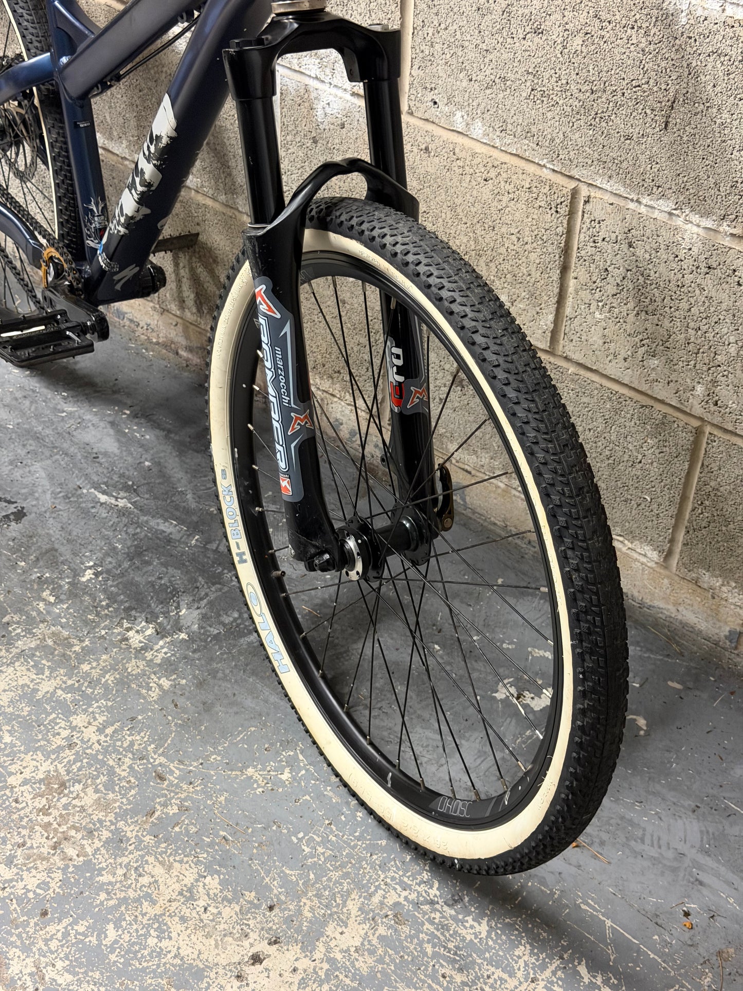 Custom Specialized Dirt Jump Bike 26”
