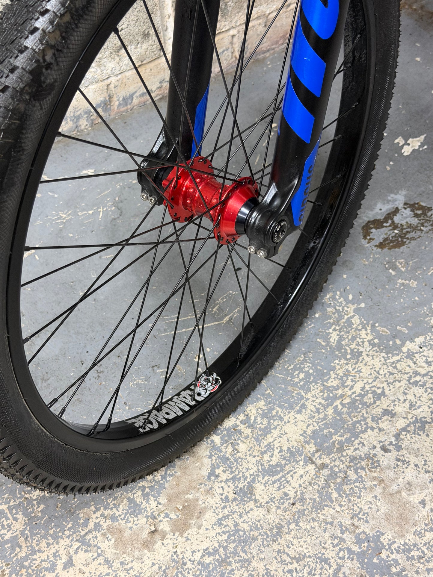Custom Dartmoor Dirt Jump Bike 24”