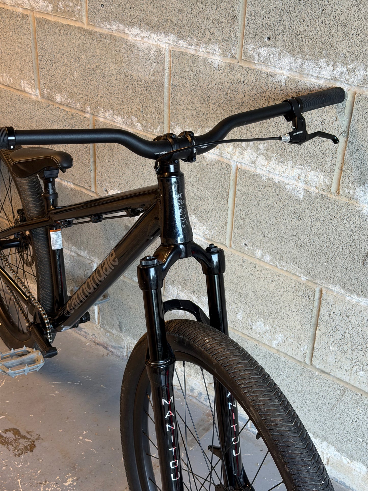 Custom Cannondale Dave Dirt Jump Bike 26”