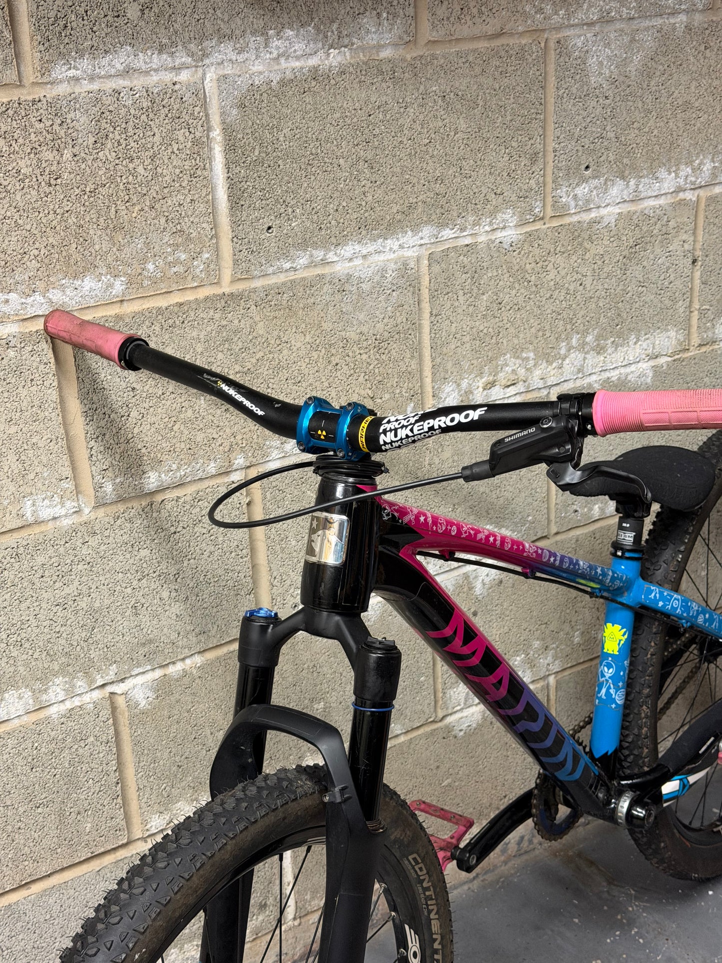 Custom Marin Alcatraz Dirt Jump Bike 26”
