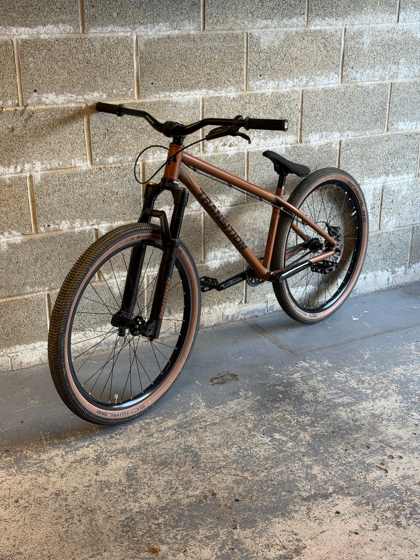 Custom Transition PBJ Dirt Jump Bike 26”