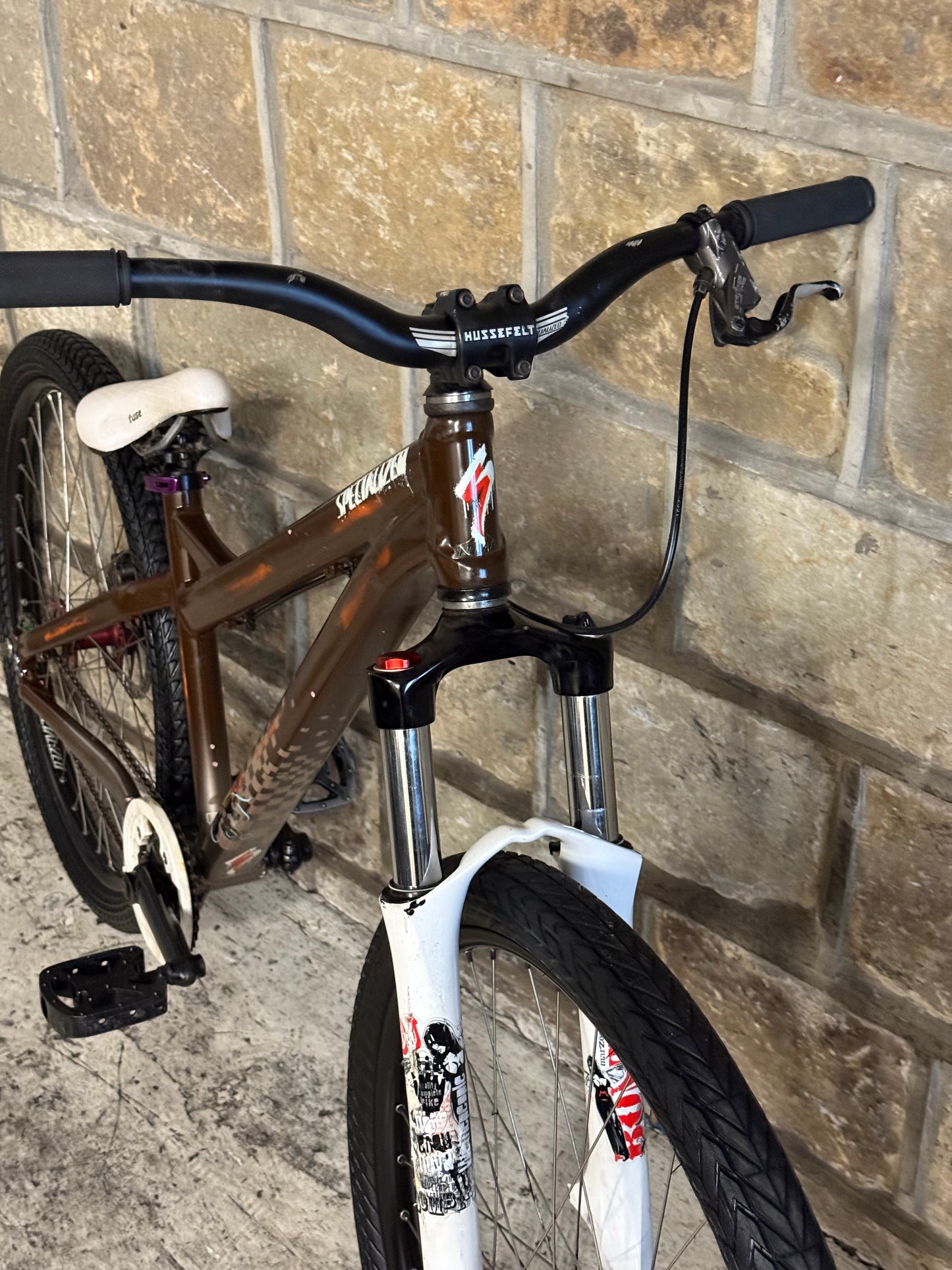 Custom Specialized Dirt Jump Bike 26”