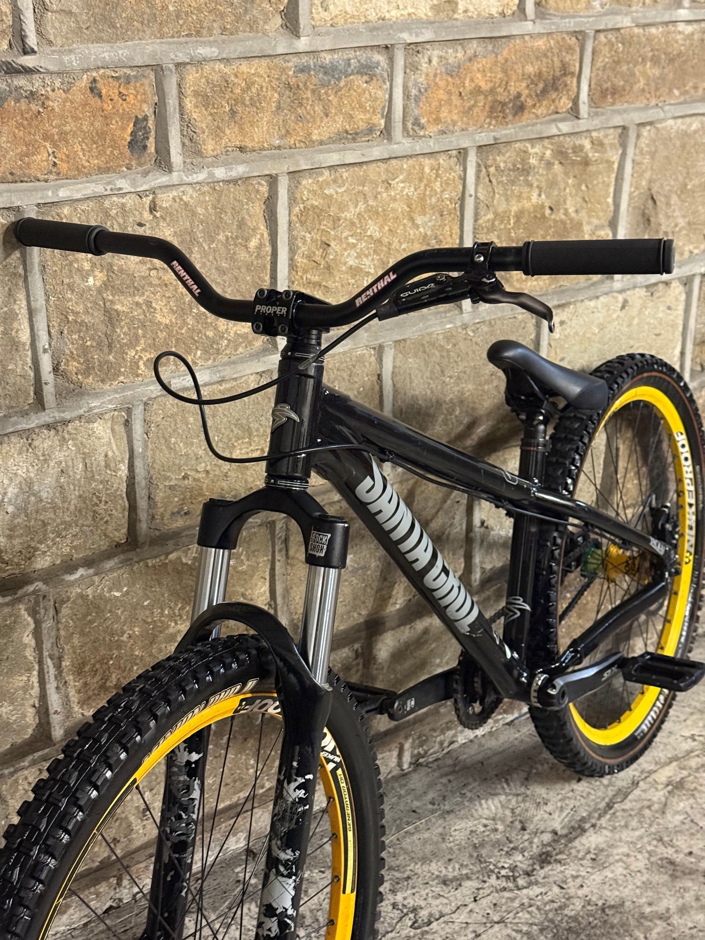 Custom Santa Cruz Dirt Jump Bike 26”