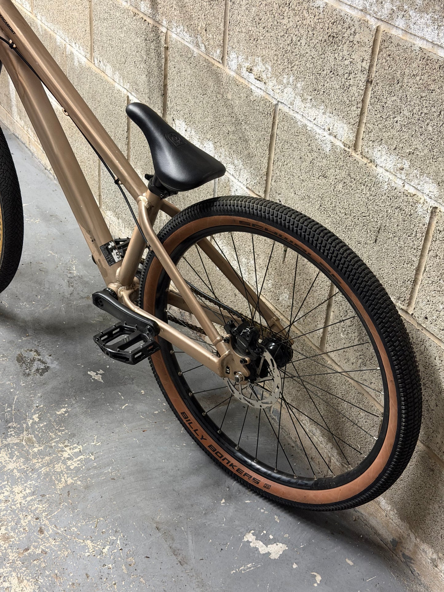 Custom Bergamont Dirt Jump Bike 26”
