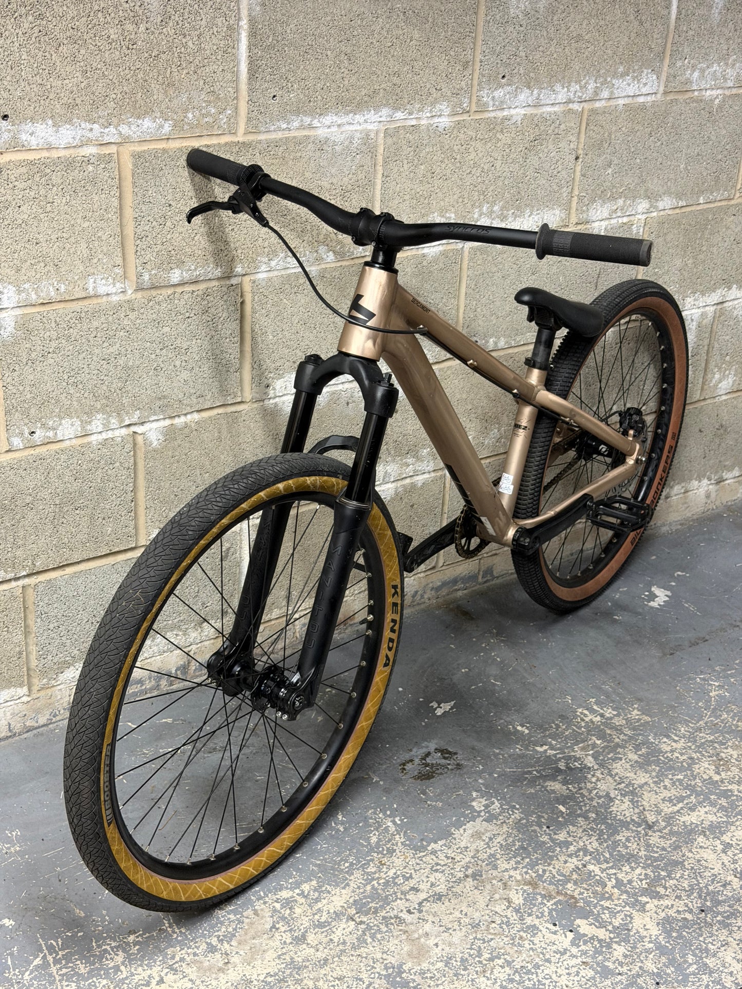 Custom Bergamont Dirt Jump Bike 26”