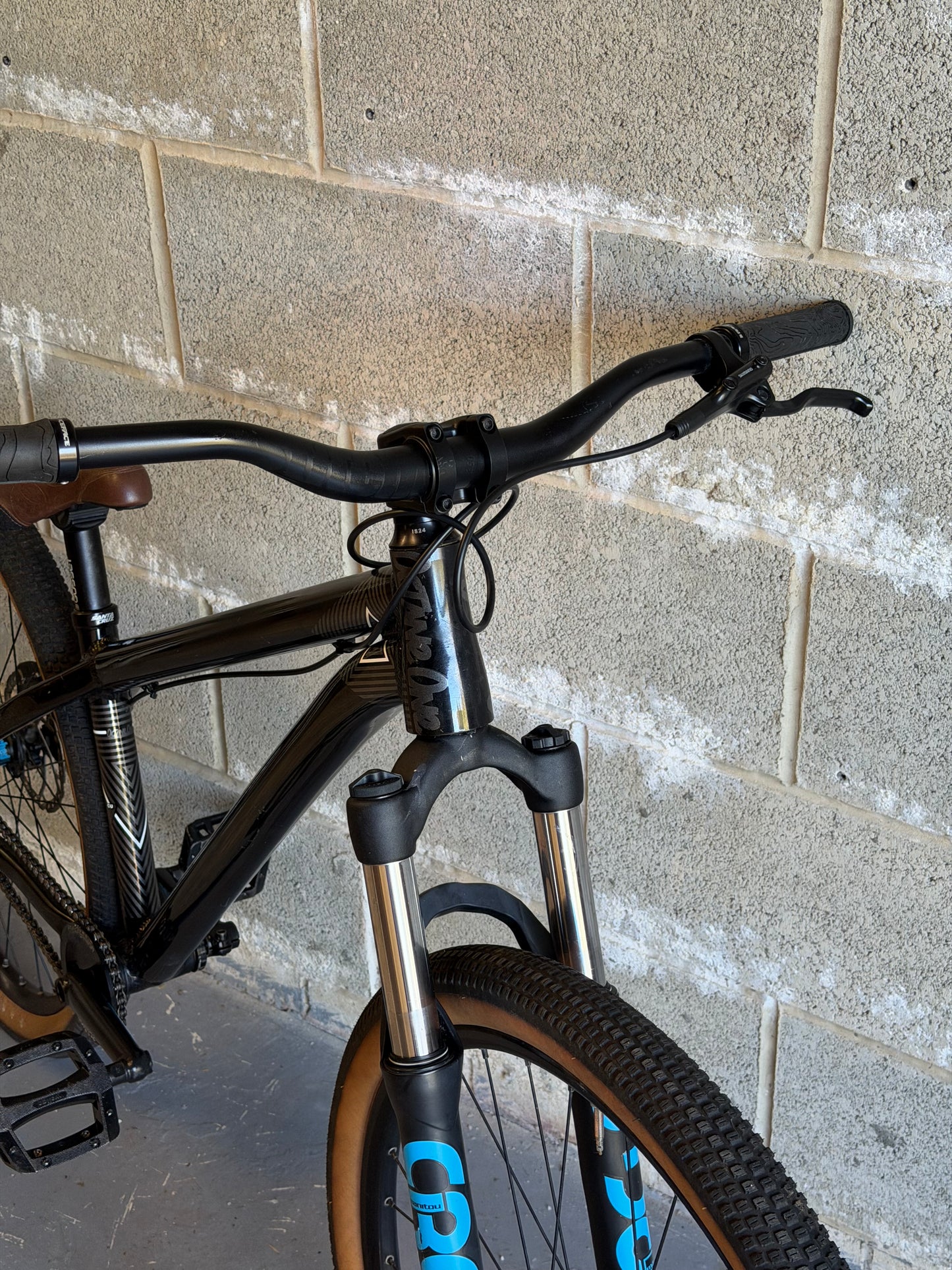 Custom Octane One Dirt Jump Bike 26”