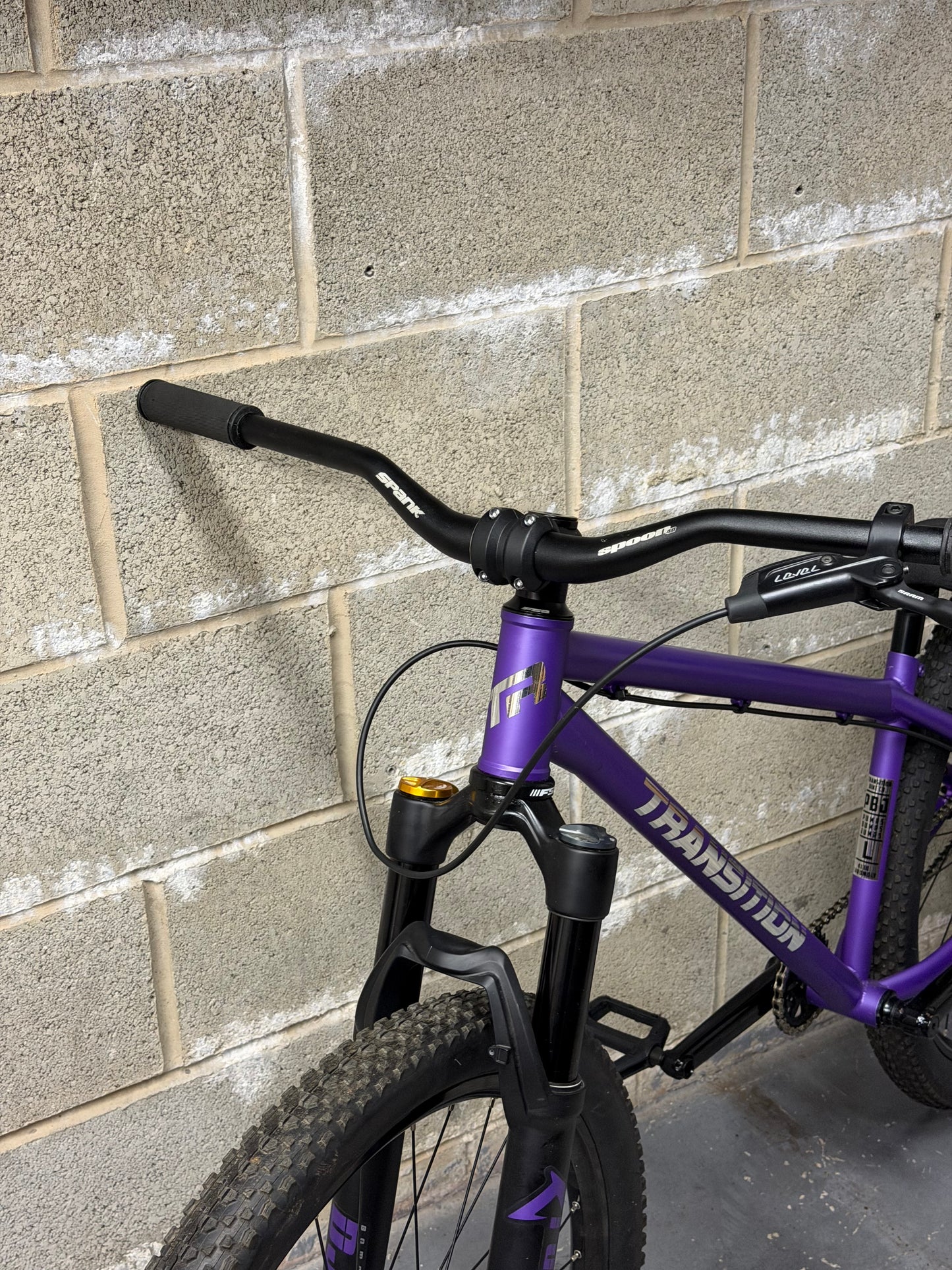 Custom Transition PBJ Dirt Jump Bike 26”