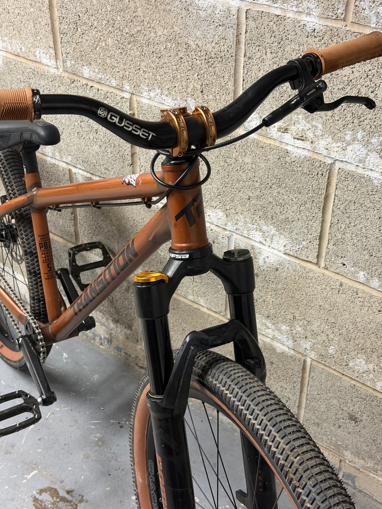 Custom Transition PBJ Dirt Jump Bike 26”