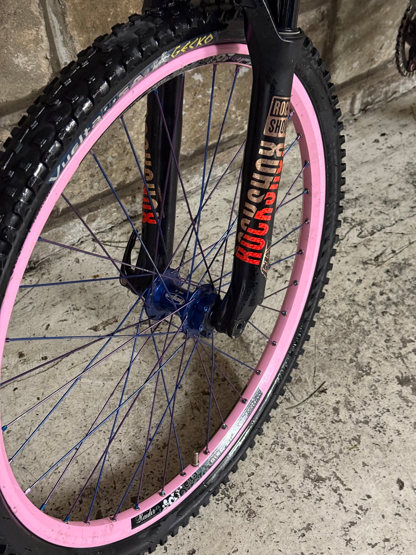 Custom Dartmoor Dirt Jump Bike 26”