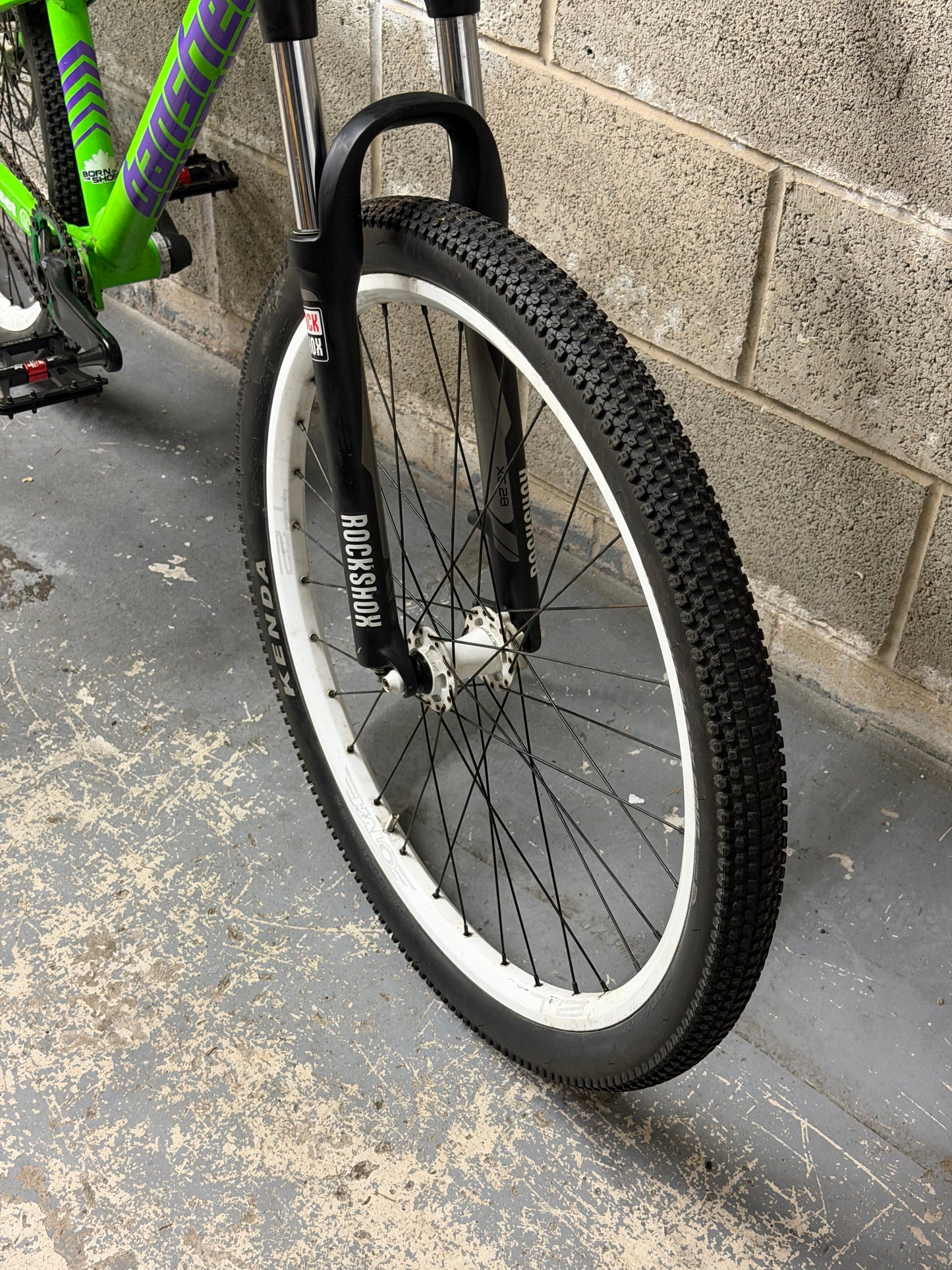 Custom Banshee Amp Dirt Jump Bike 26”