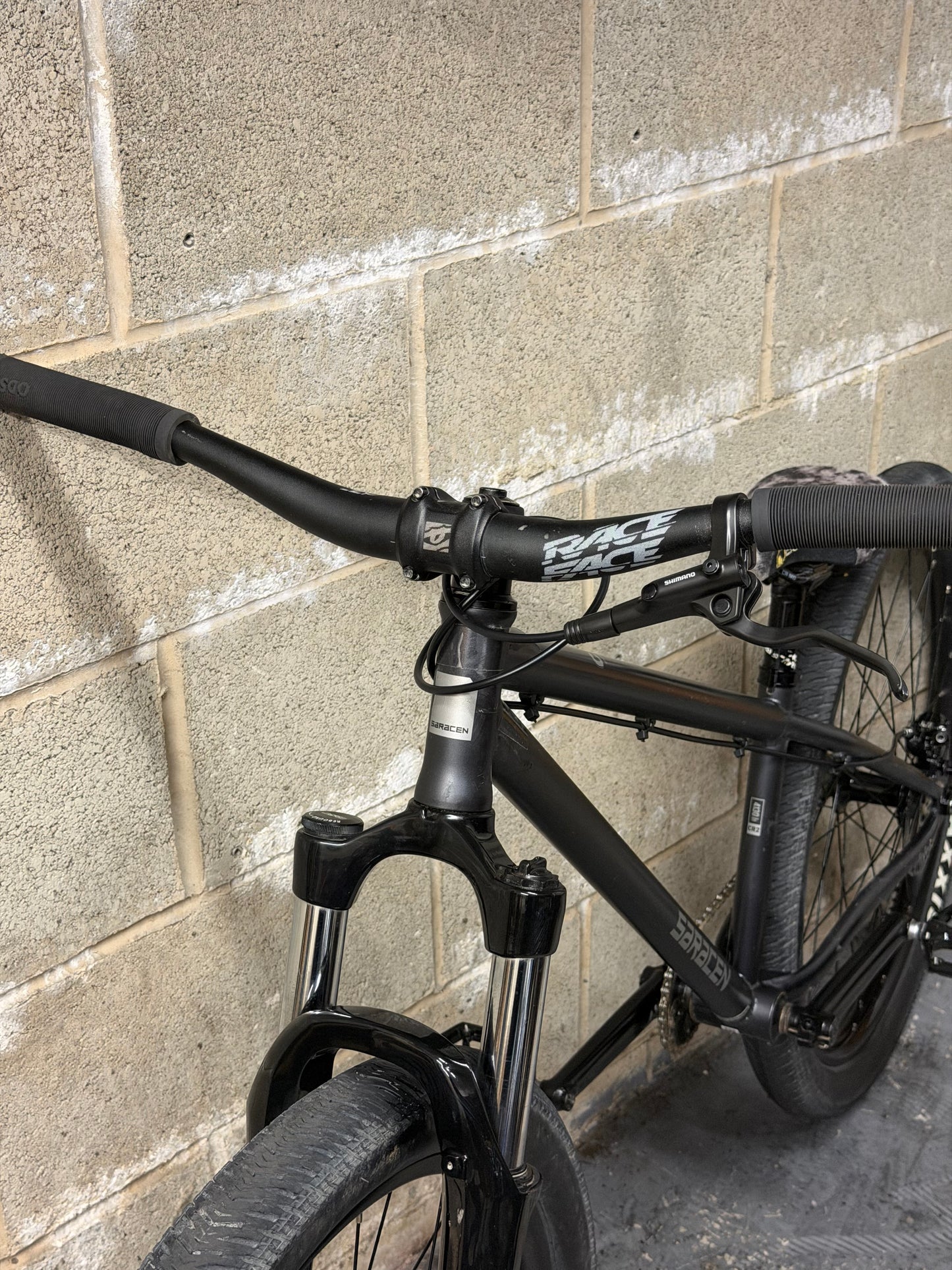 Custom Saracen Dirt Jump Bike 26”