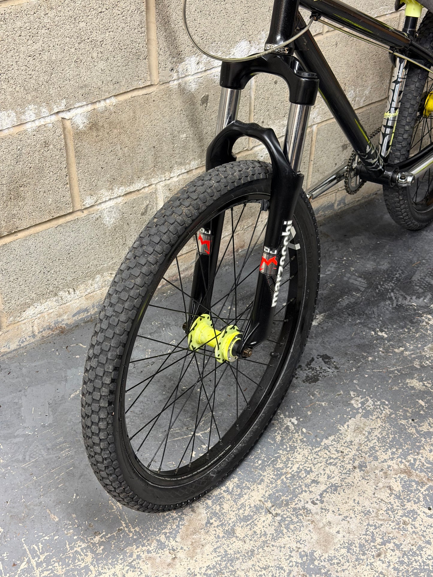 Custom NS Dirt Jump Bike 24”