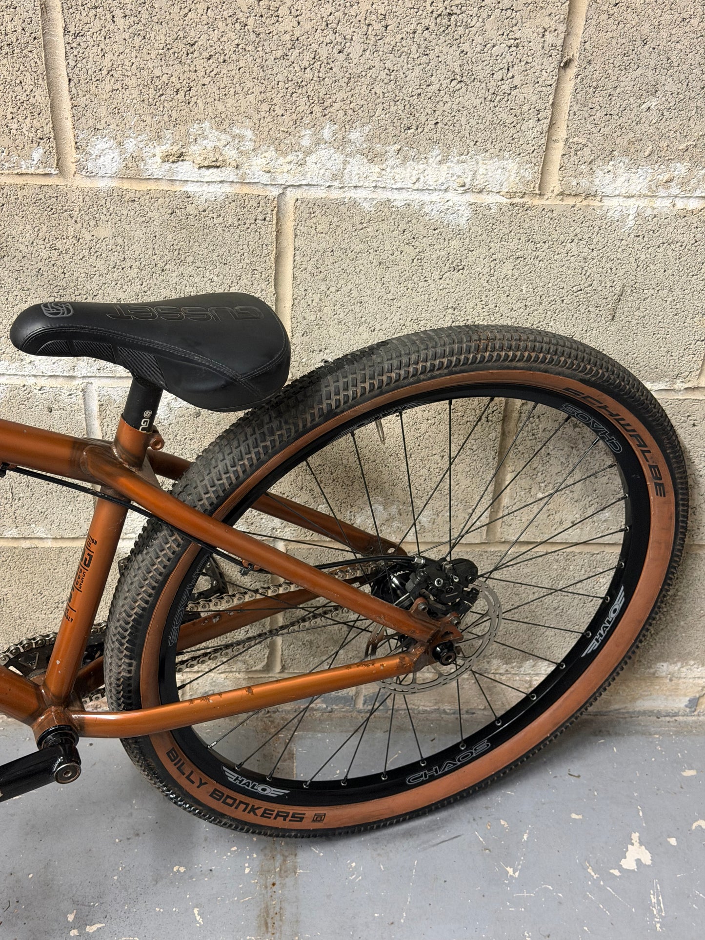 Custom Transition PBJ Dirt Jump Bike 26”