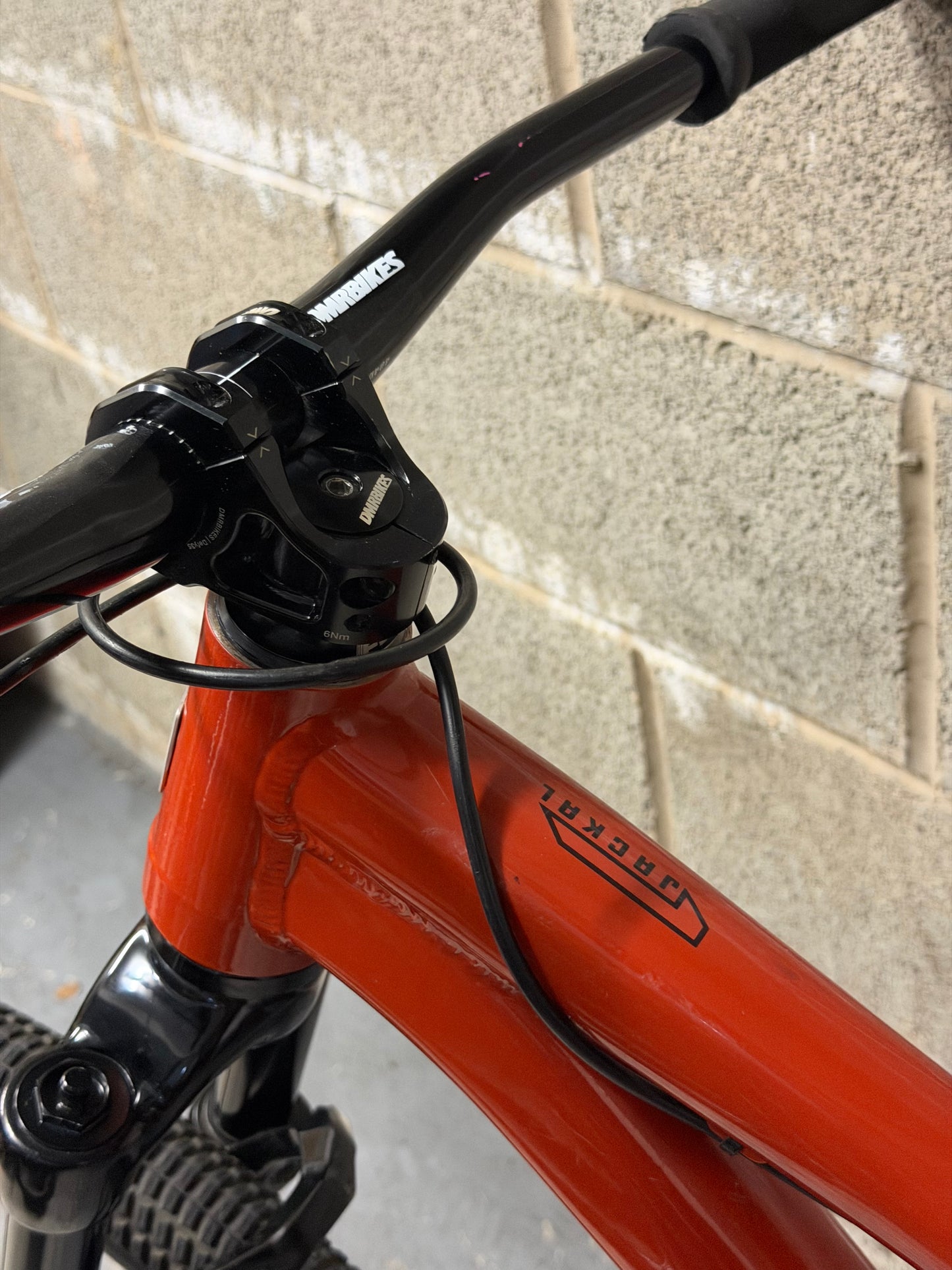 Custom Santa Cruz Jackal Dirt Jump Bike 26”