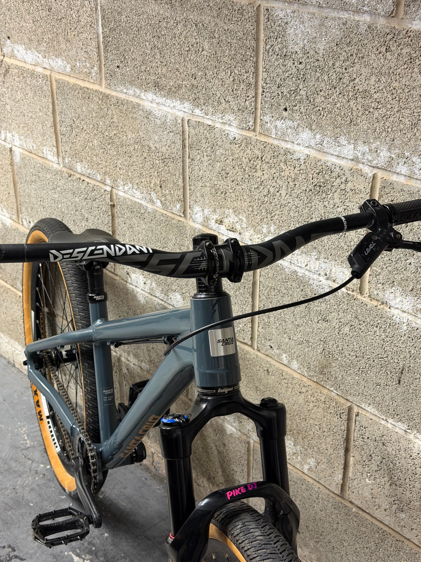 Custom Santa Cruz Jackal Dirt Jump Bike 26”