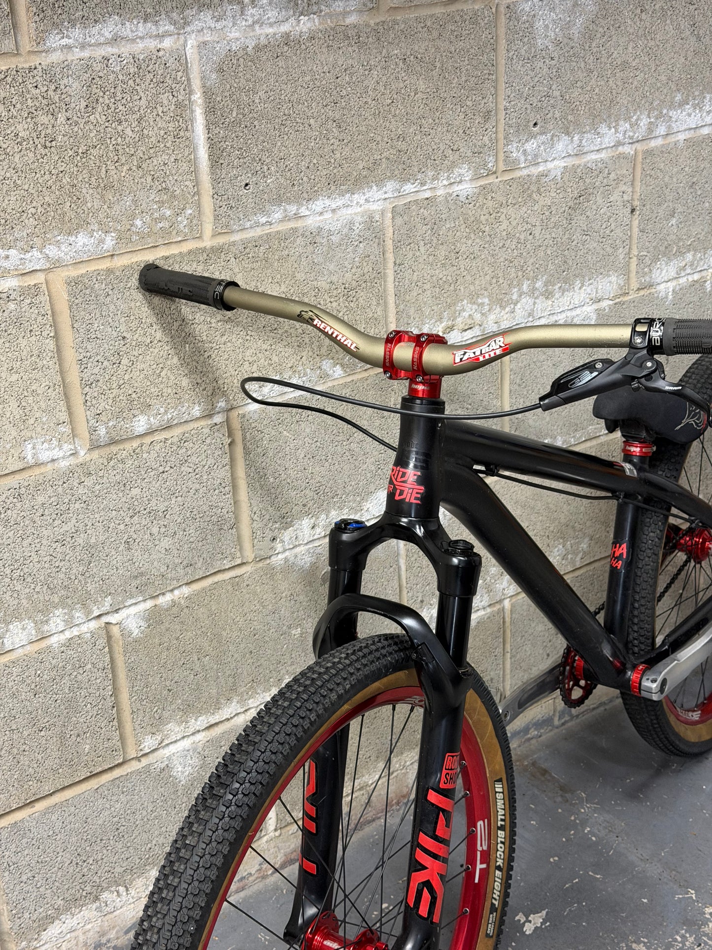 Custom NS Dirt Jump Bike 26”