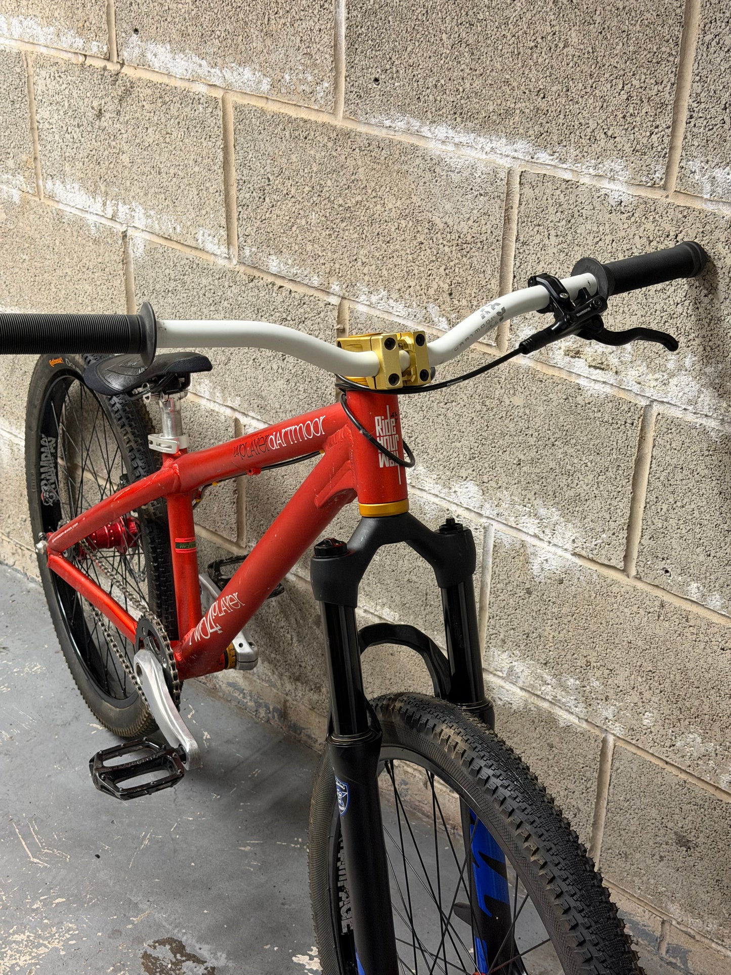Custom Dartmoor Dirt Jump Bike 24”