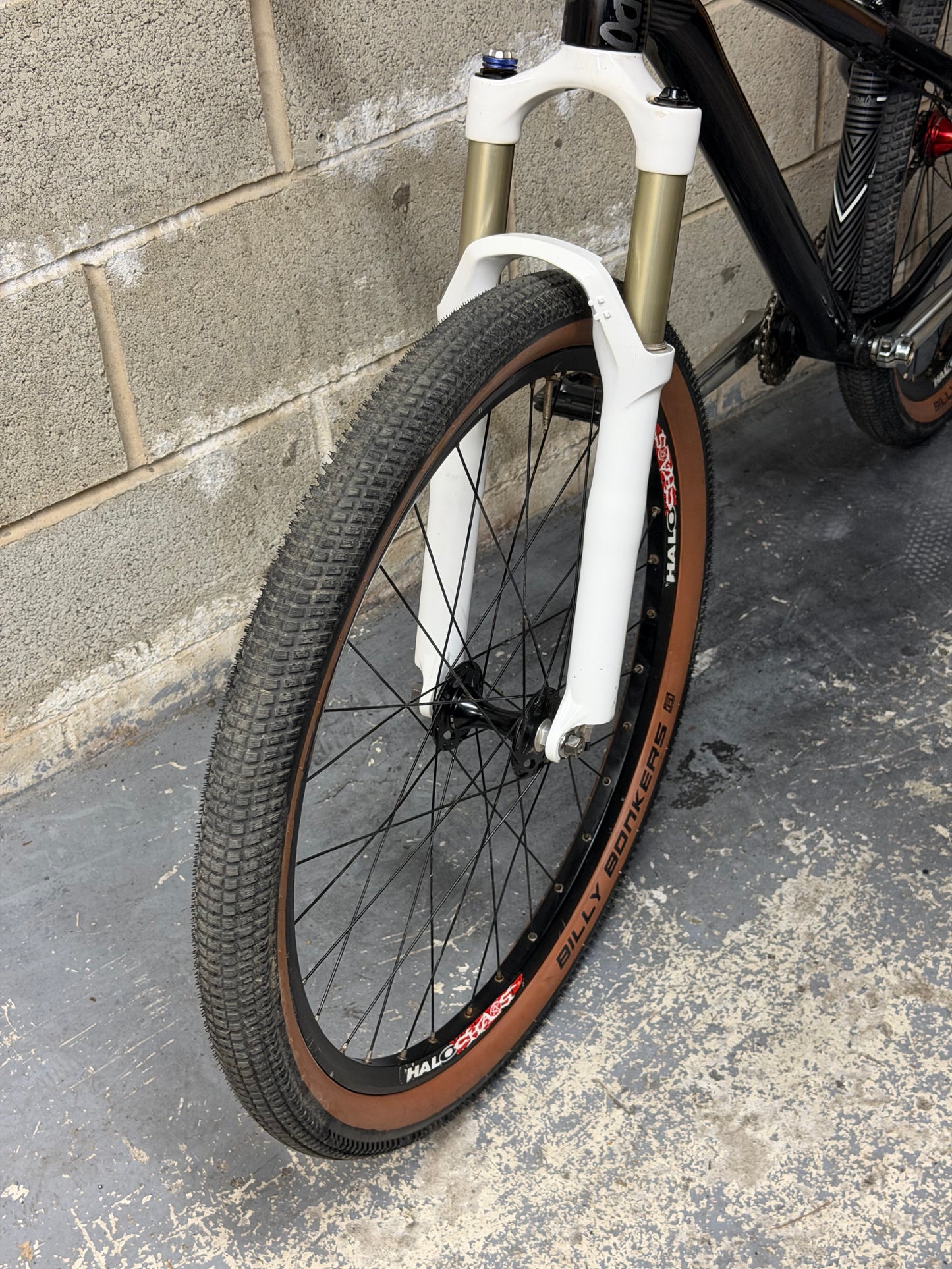 Custom Octane One Dirt Jump Bike 26”